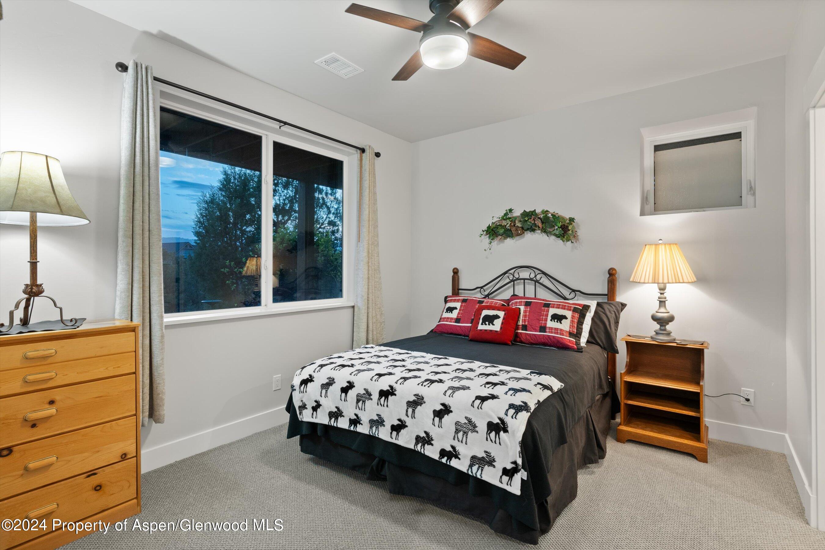81 Paintbrush Way Glenwood Springs CO 81601