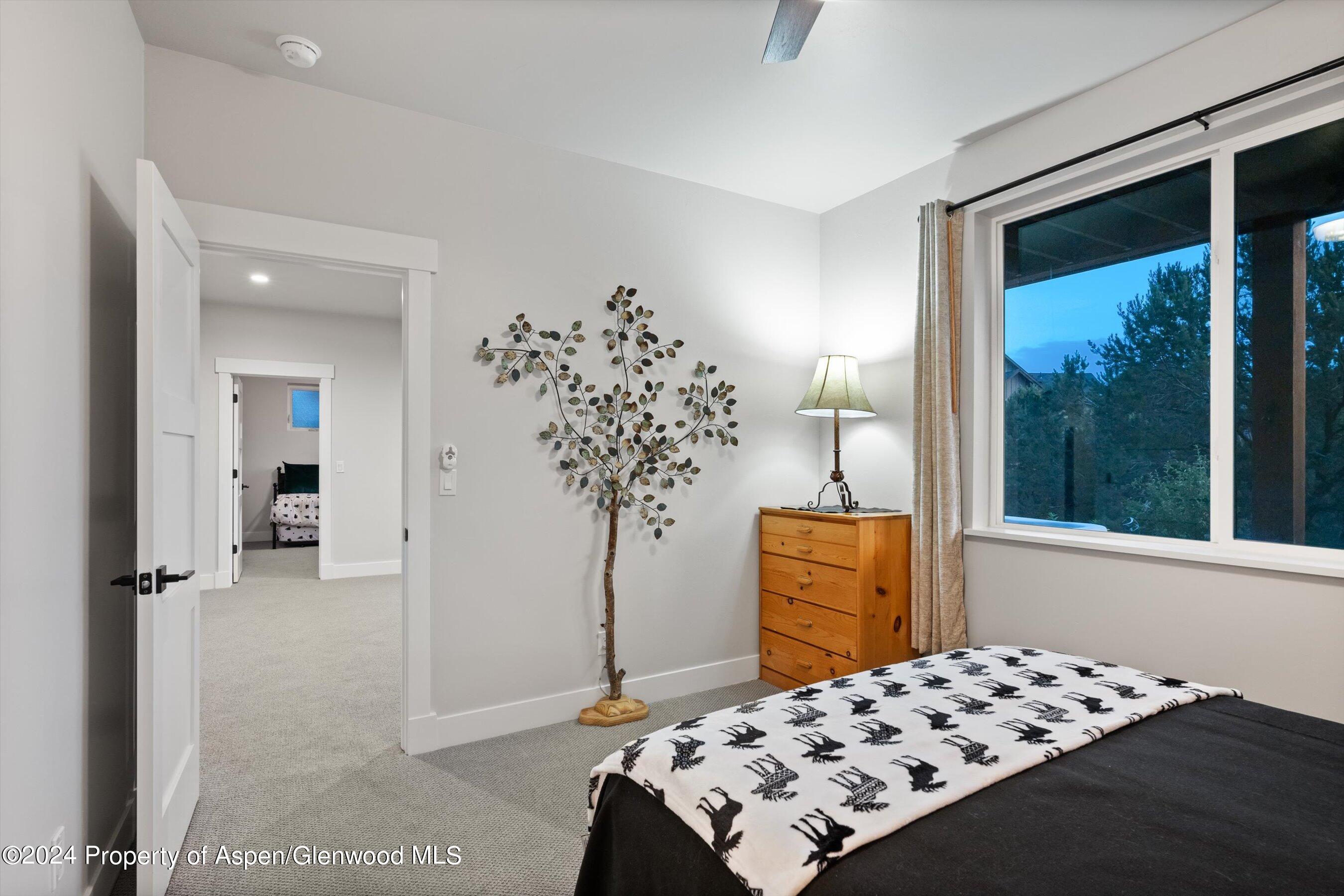 81 Paintbrush Way Glenwood Springs CO 81601