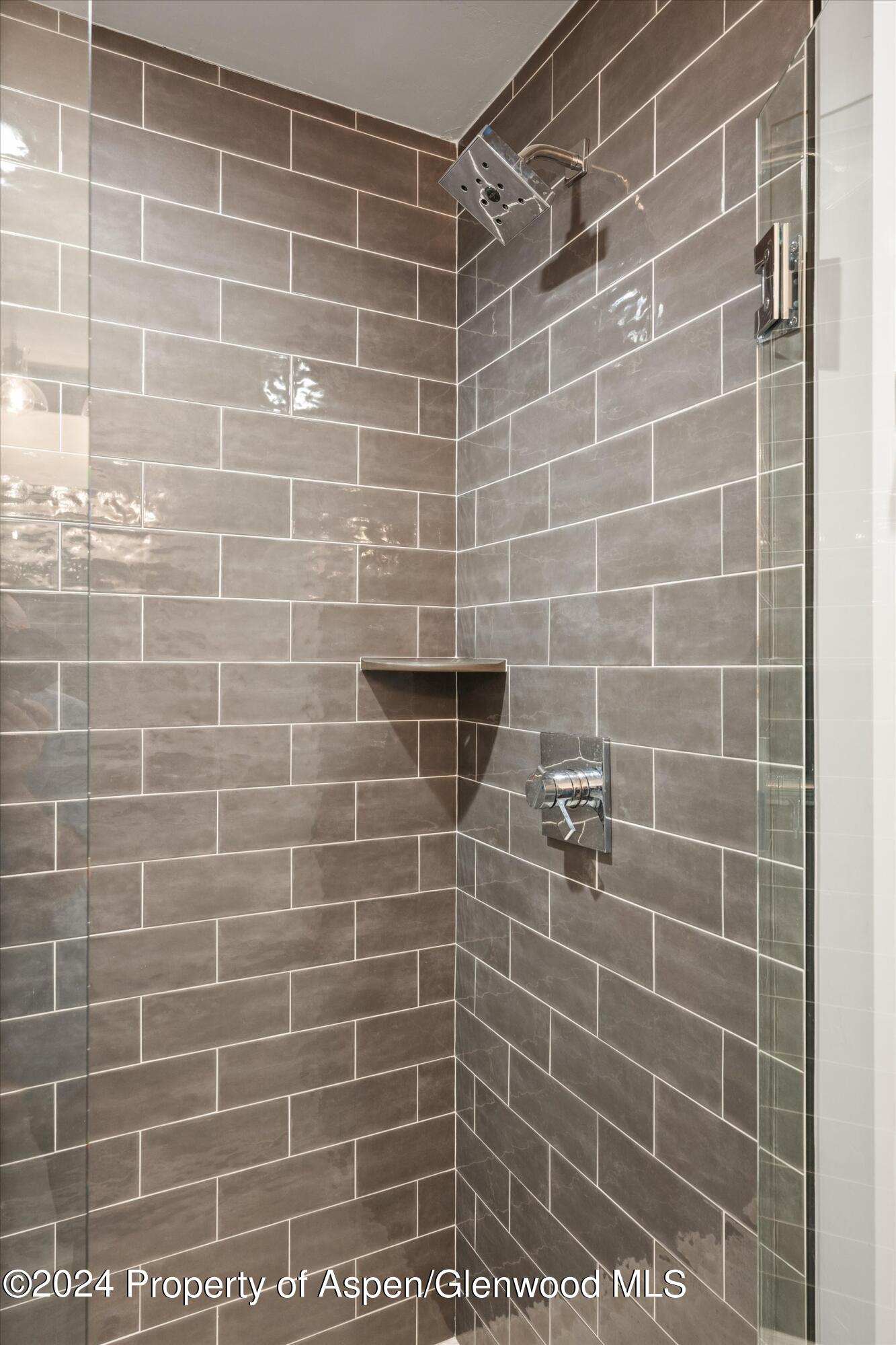 81 Paintbrush Way Glenwood Springs CO 81601