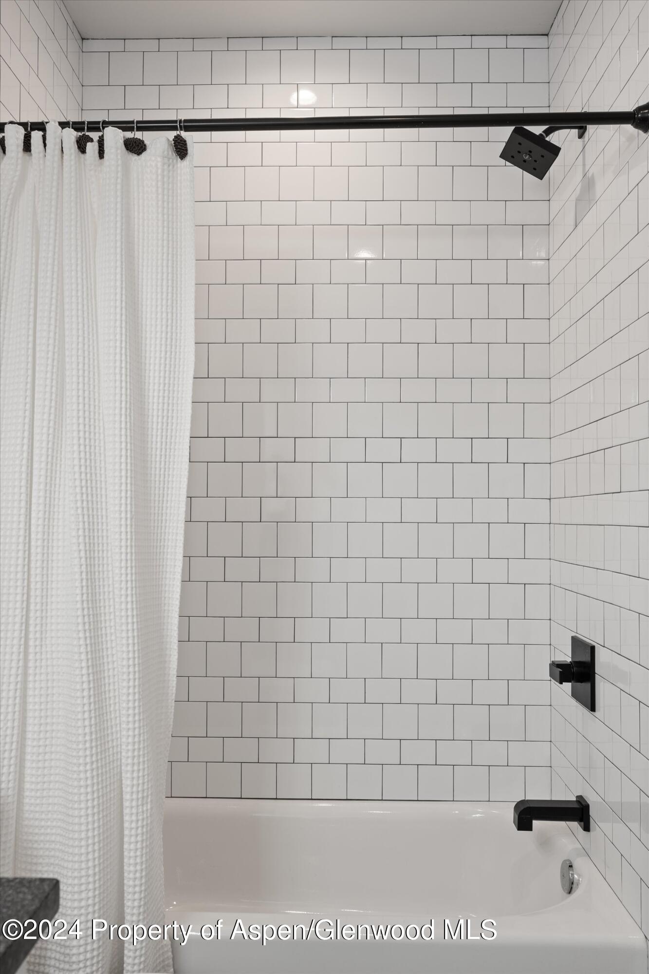 81 Paintbrush Way Glenwood Springs CO 81601