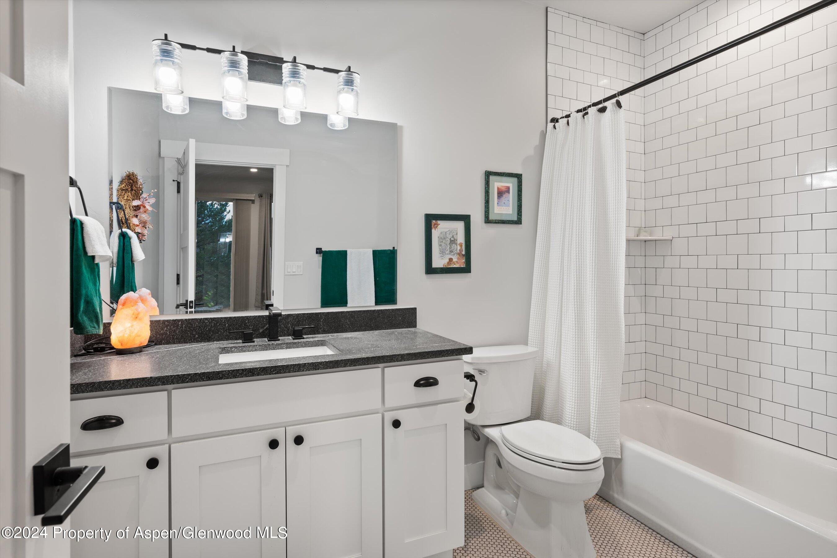 81 Paintbrush Way Glenwood Springs CO 81601