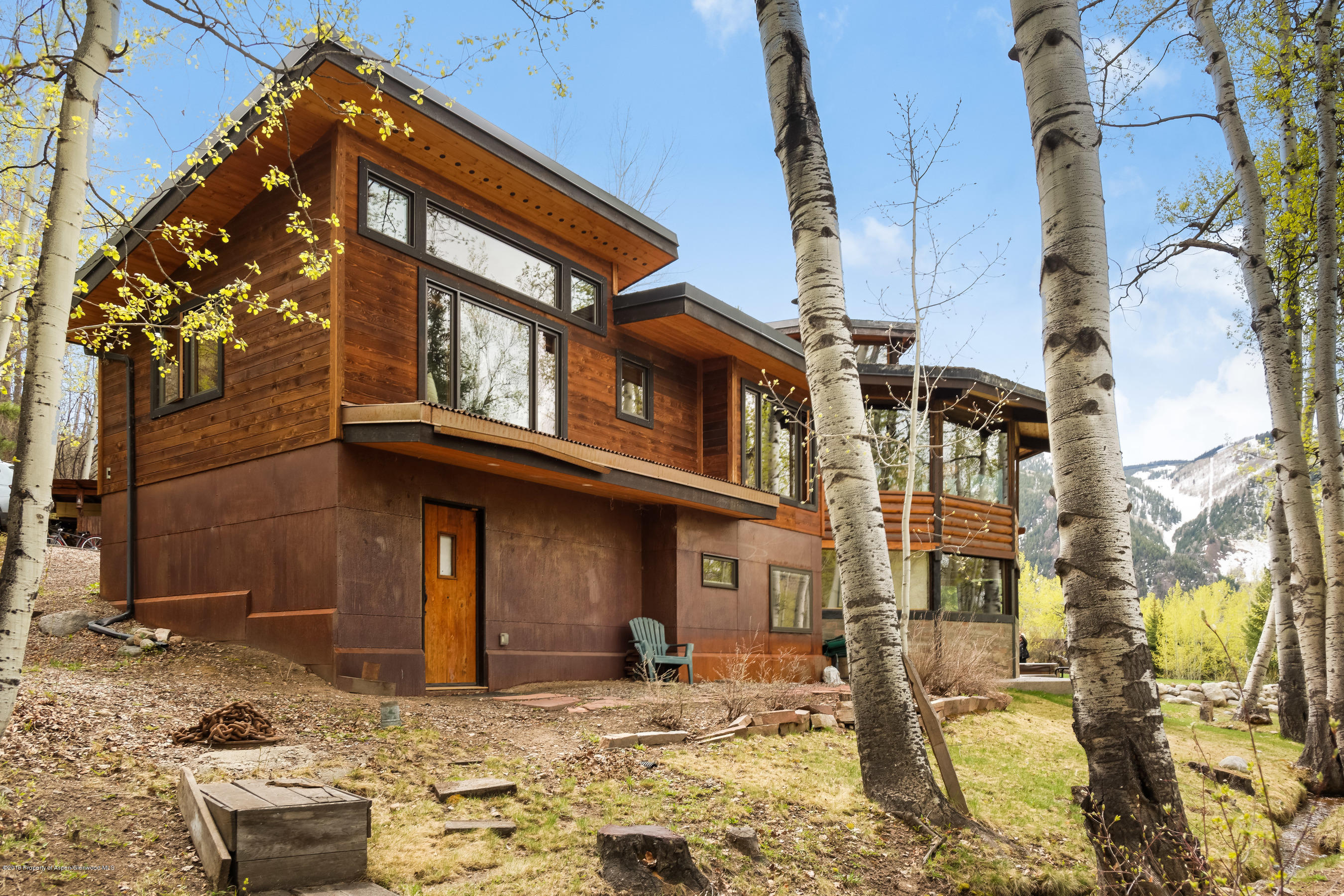 100 Spruce Court Aspen CO 81611