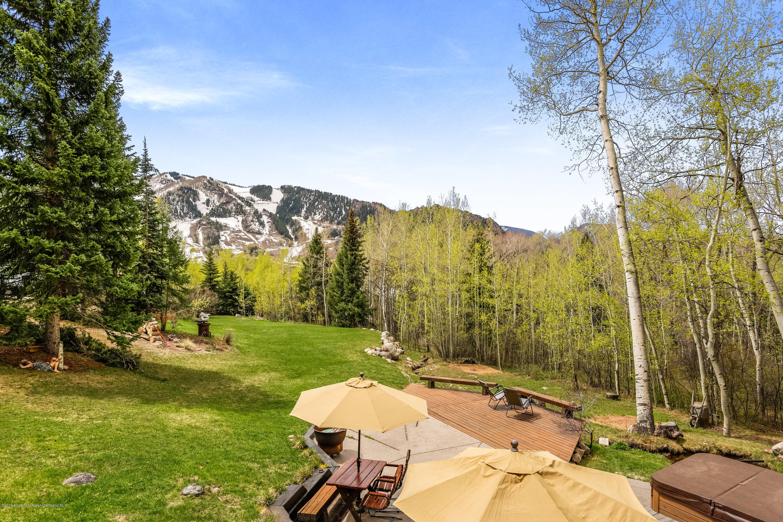 100 Spruce Court Aspen CO 81611