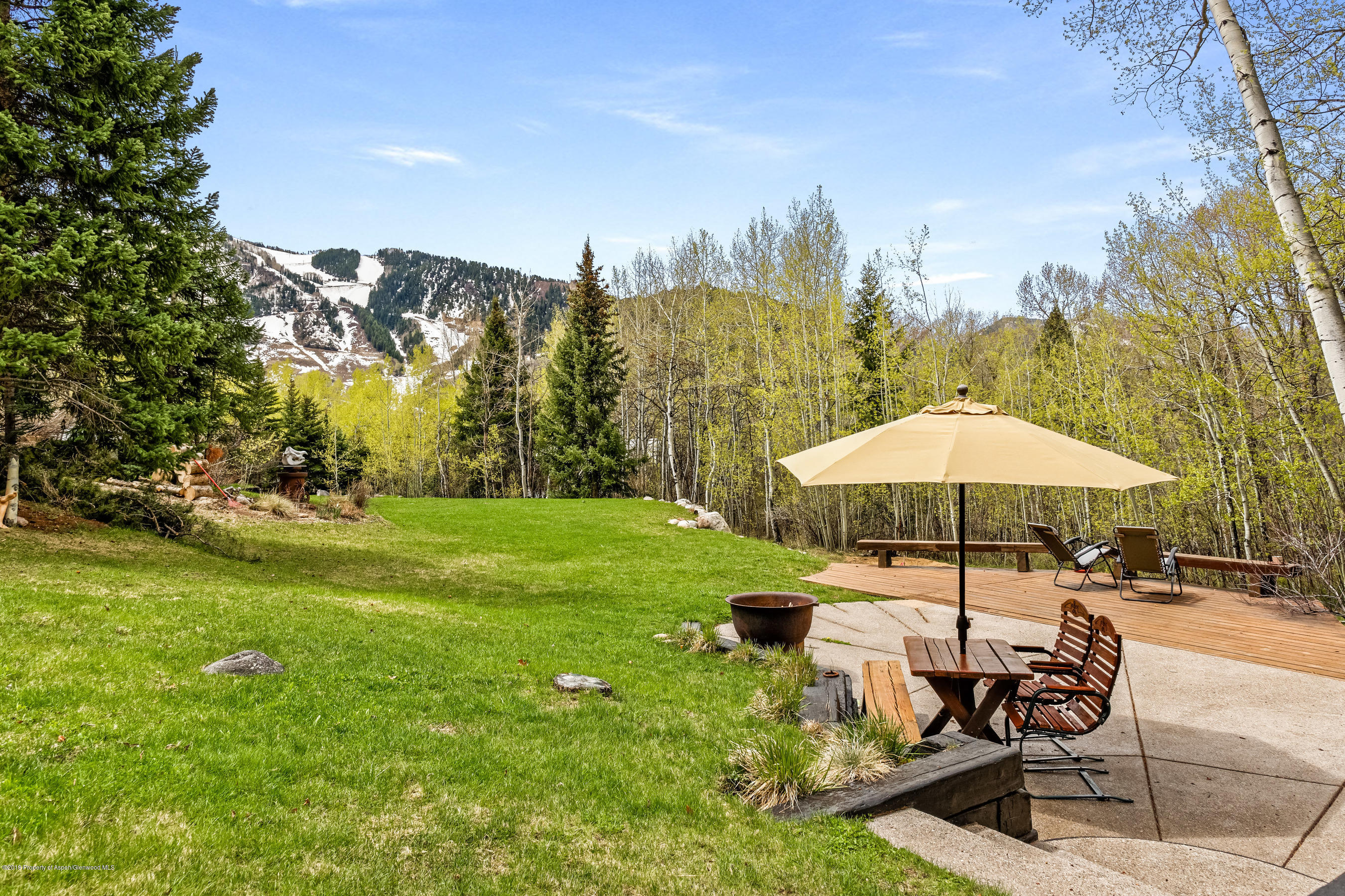 100 Spruce Court Aspen CO 81611