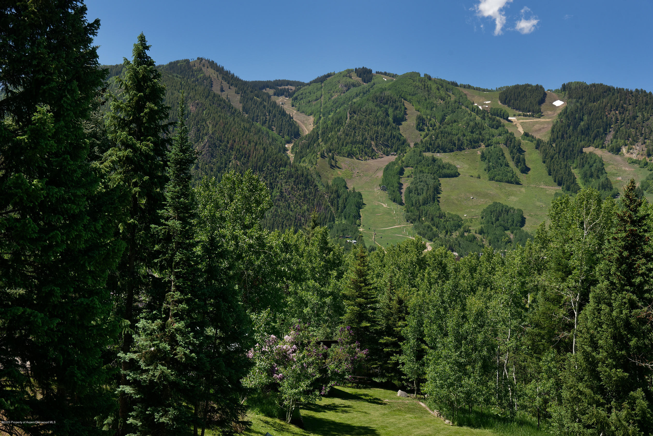 100 Spruce Court Aspen CO 81611