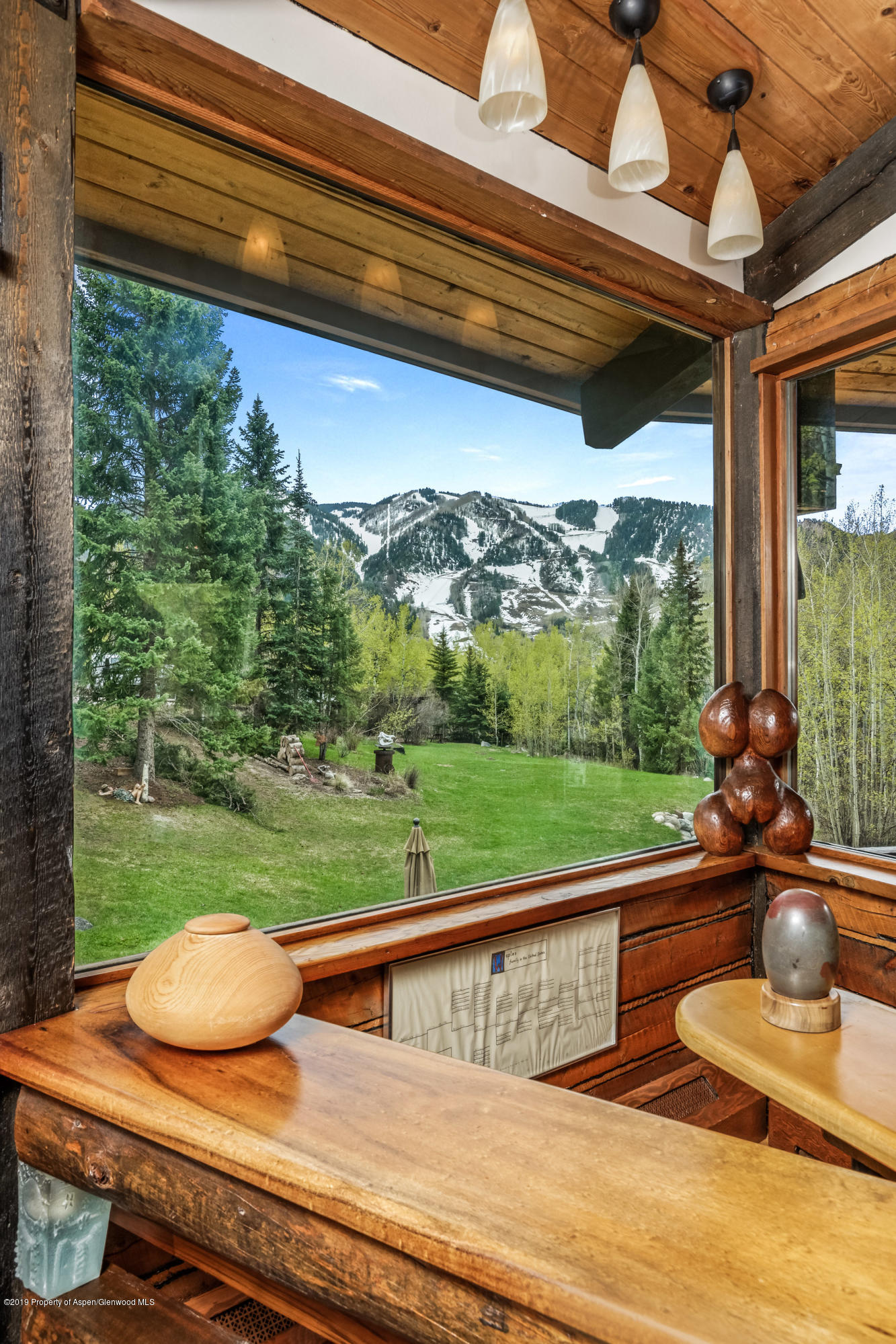 100 Spruce Court Aspen CO 81611