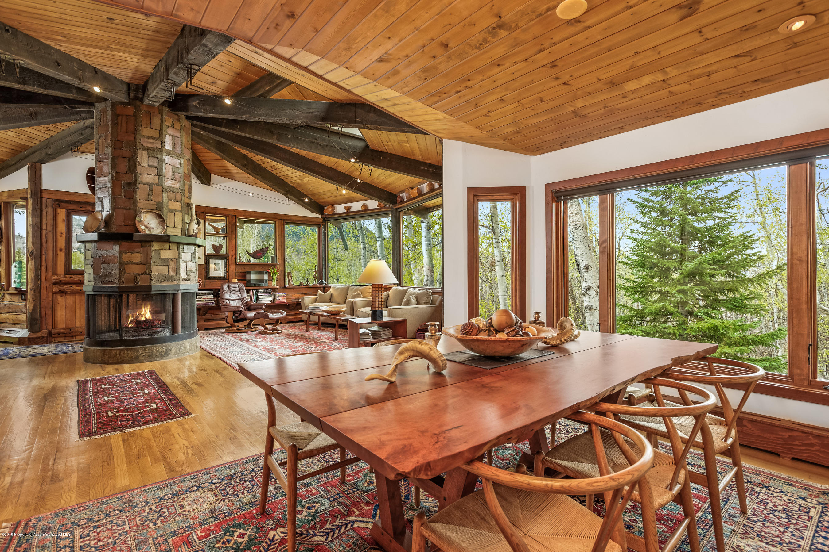 100 Spruce Court Aspen CO 81611