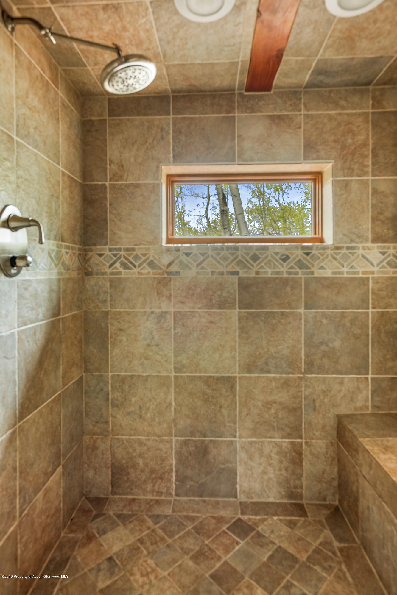 100 Spruce Court Aspen CO 81611