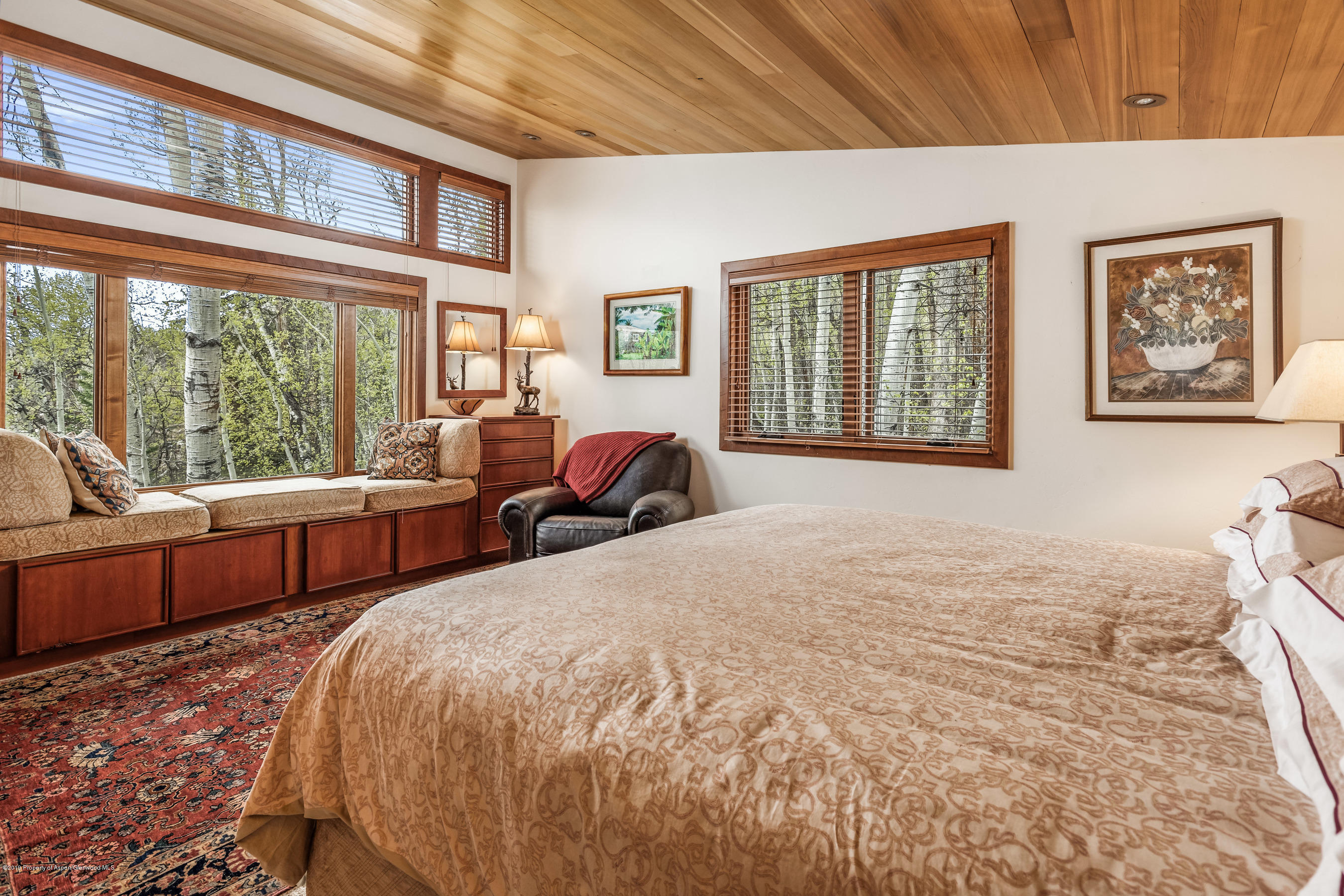 100 Spruce Court Aspen CO 81611