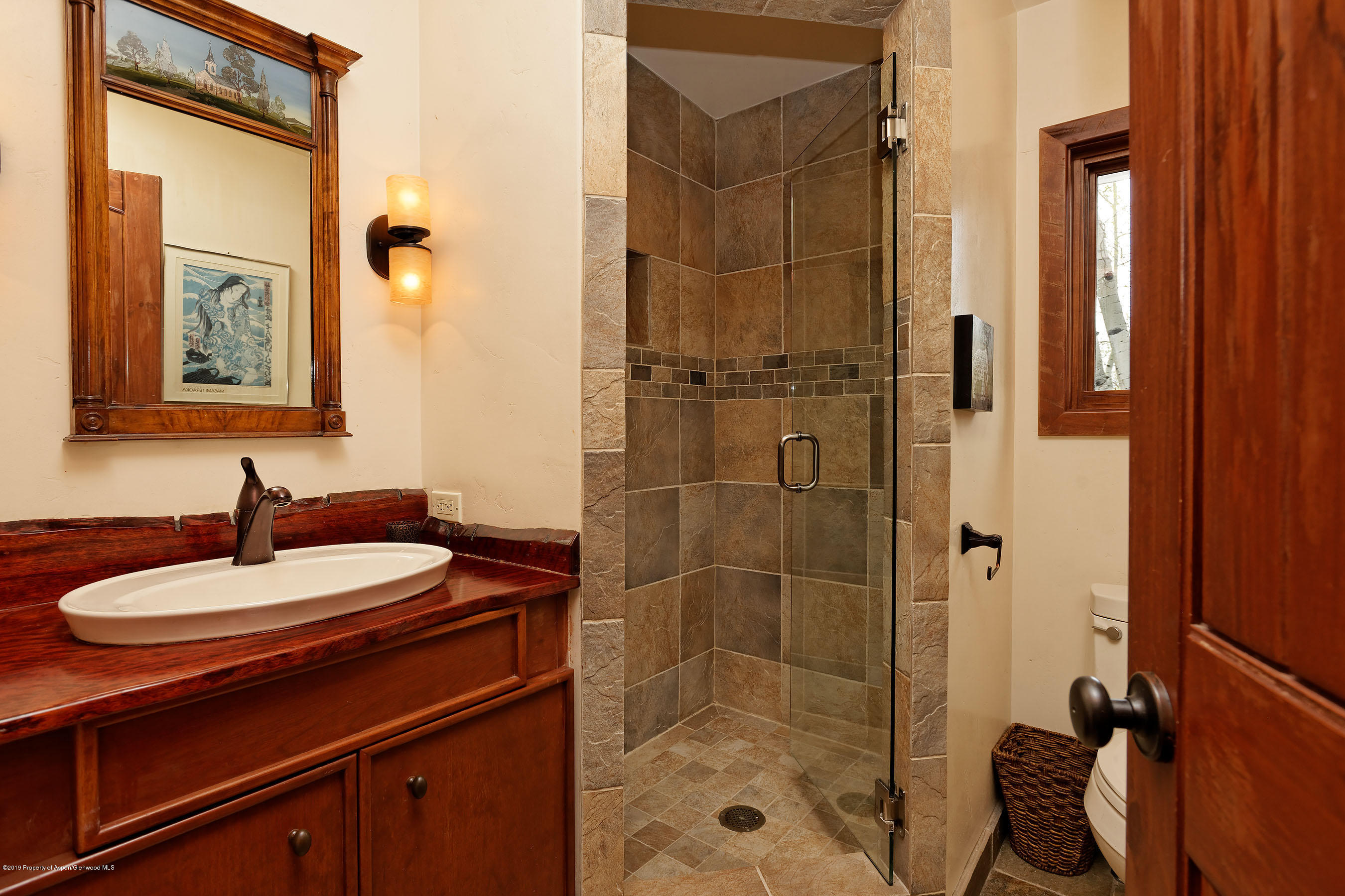 100 Spruce Court Aspen CO 81611