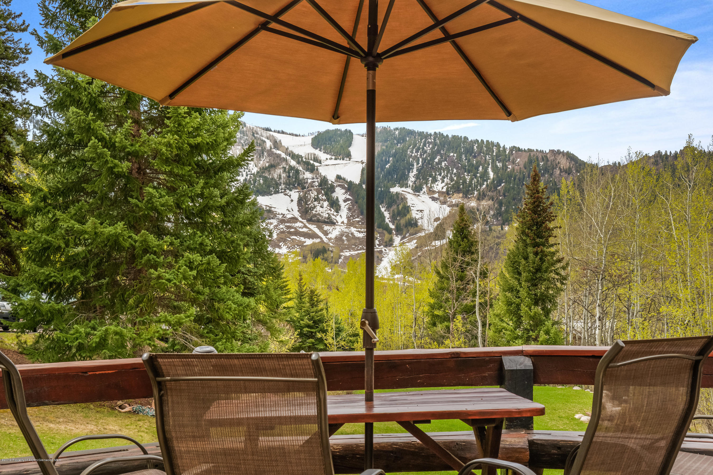 100 Spruce Court Aspen CO 81611