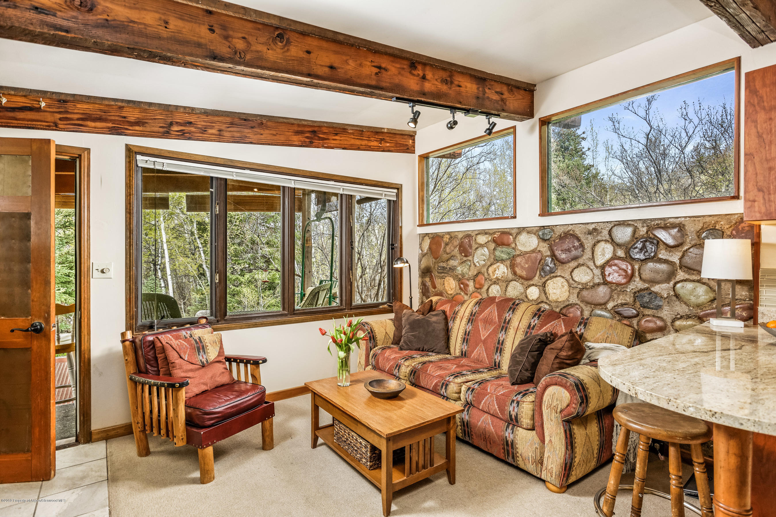 100 Spruce Court Aspen CO 81611
