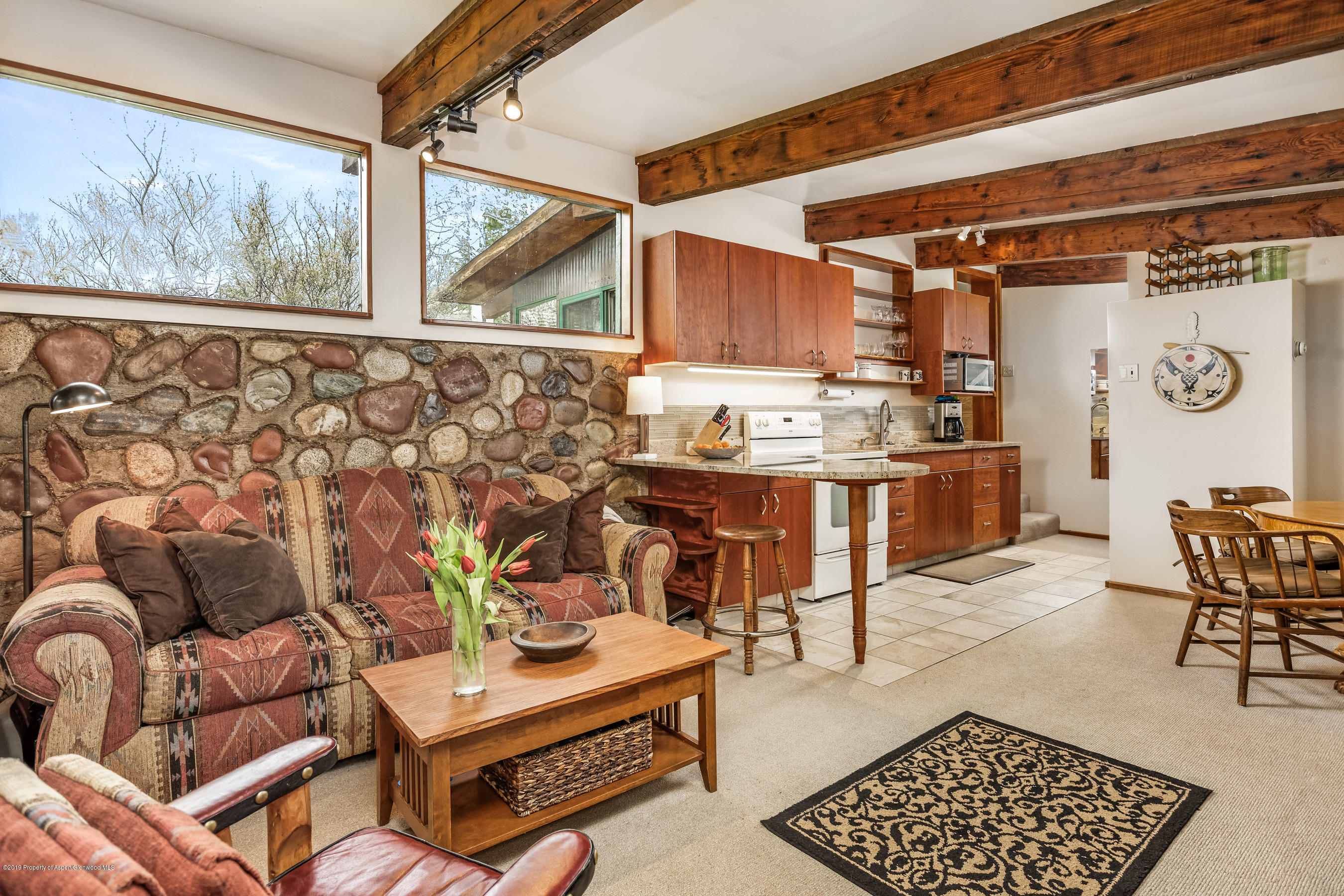 100 Spruce Court Aspen CO 81611