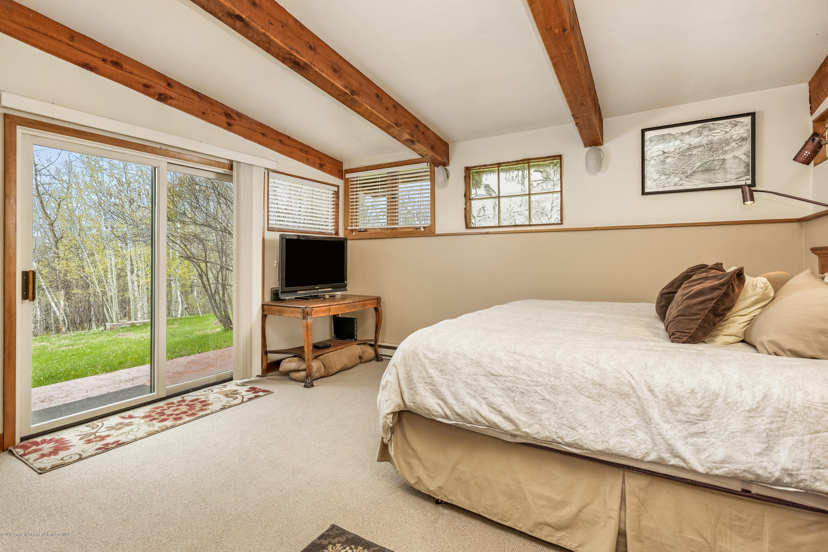 100 Spruce Court Aspen CO 81611