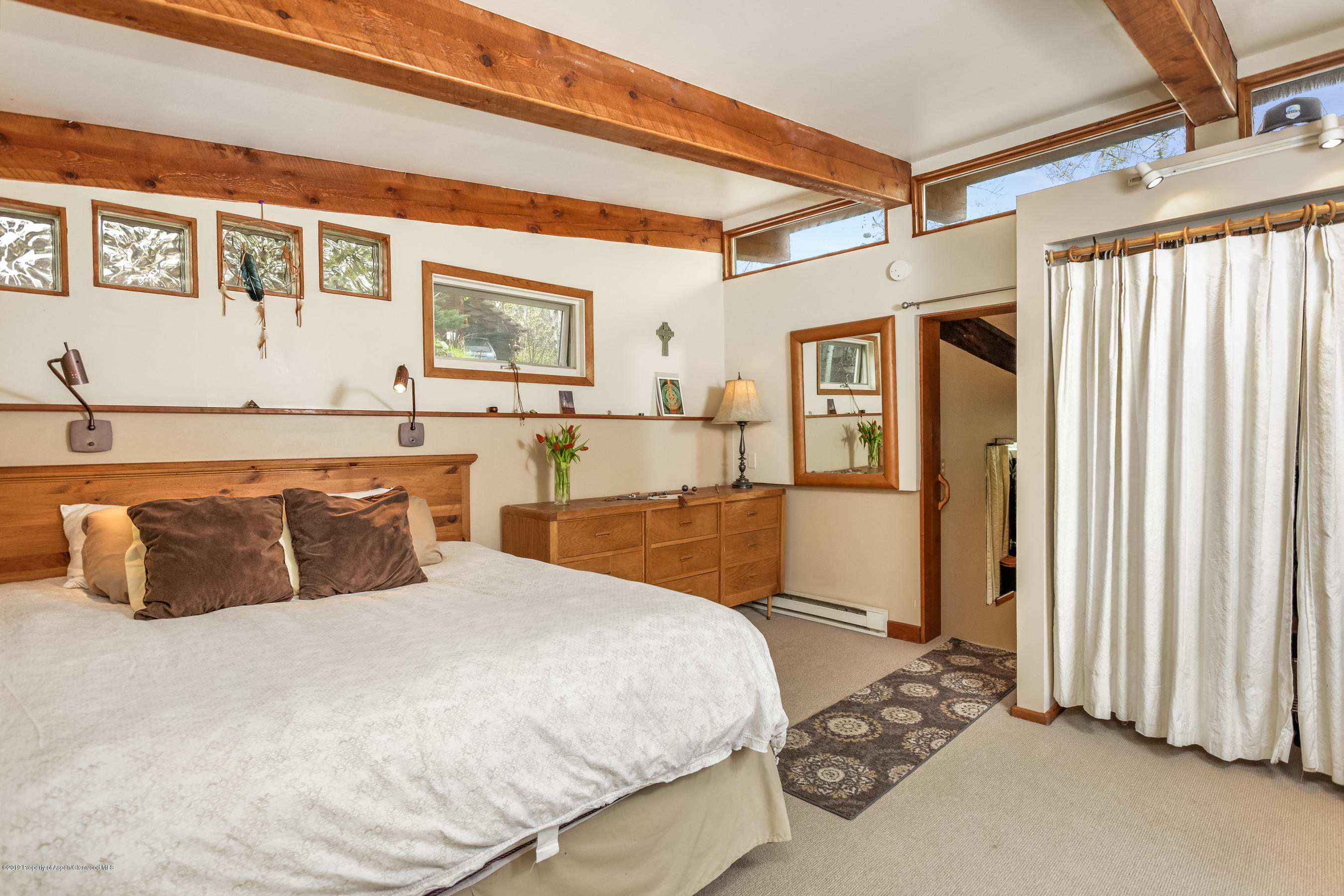 100 Spruce Court Aspen CO 81611