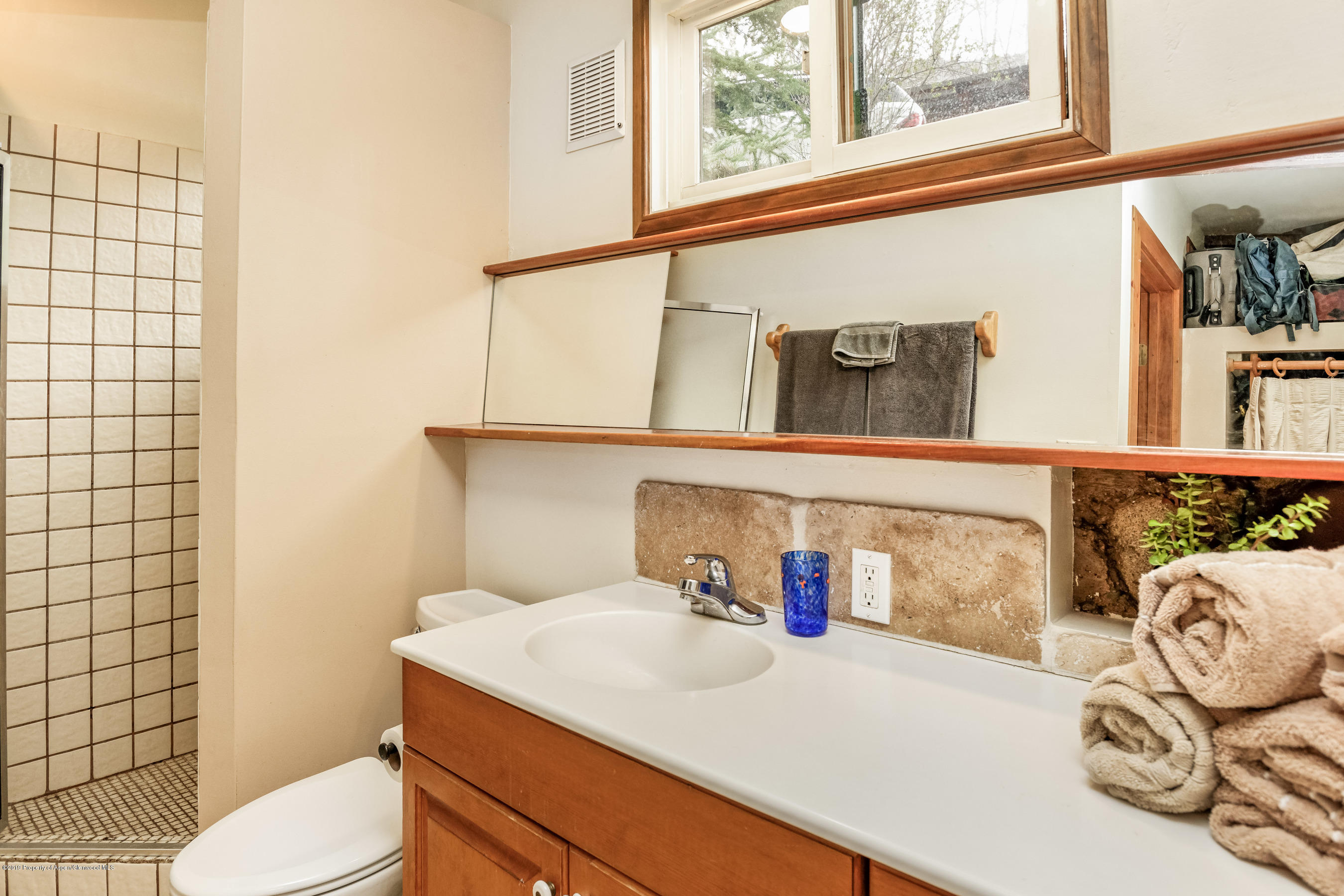 100 Spruce Court Aspen CO 81611