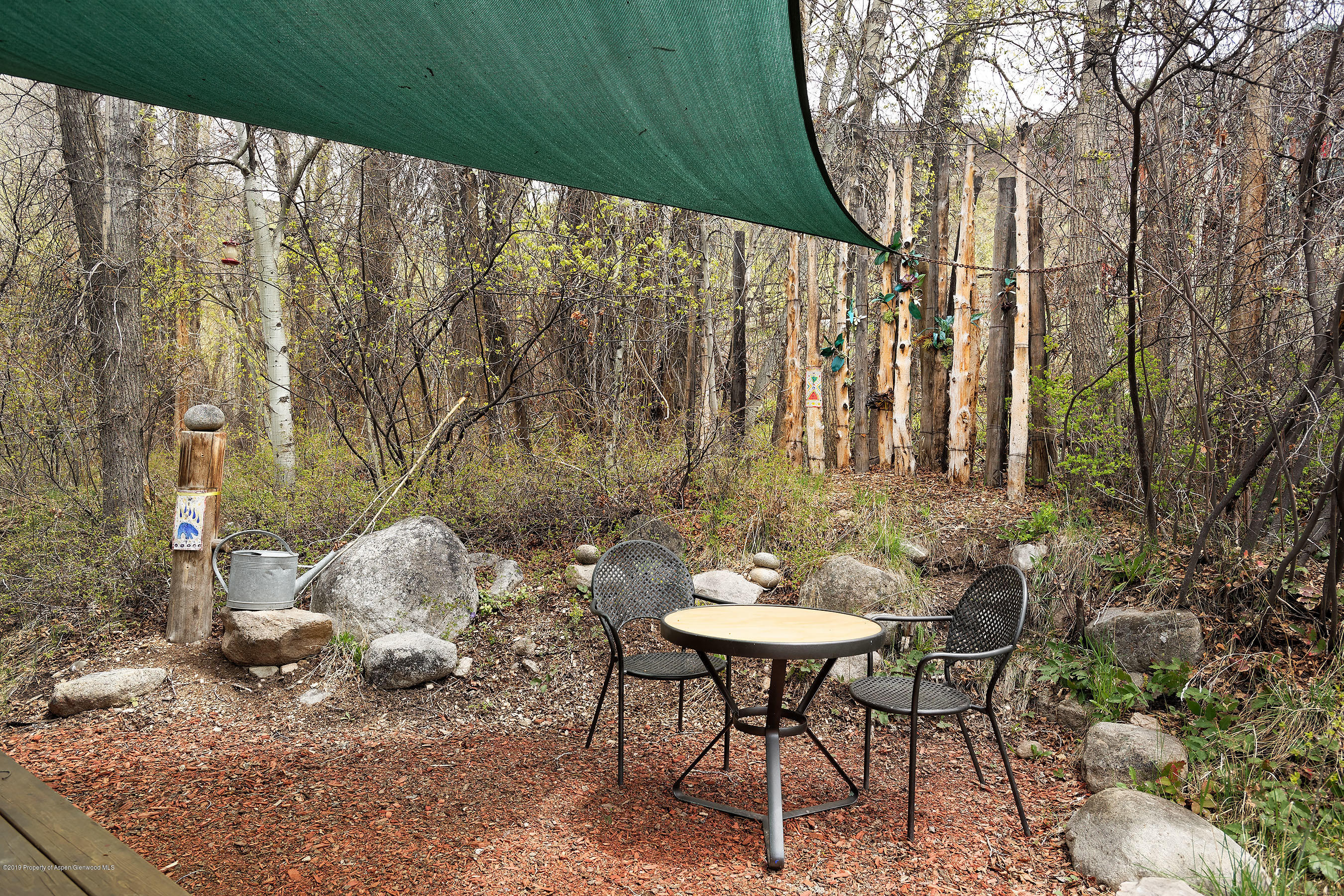 100 Spruce Court Aspen CO 81611