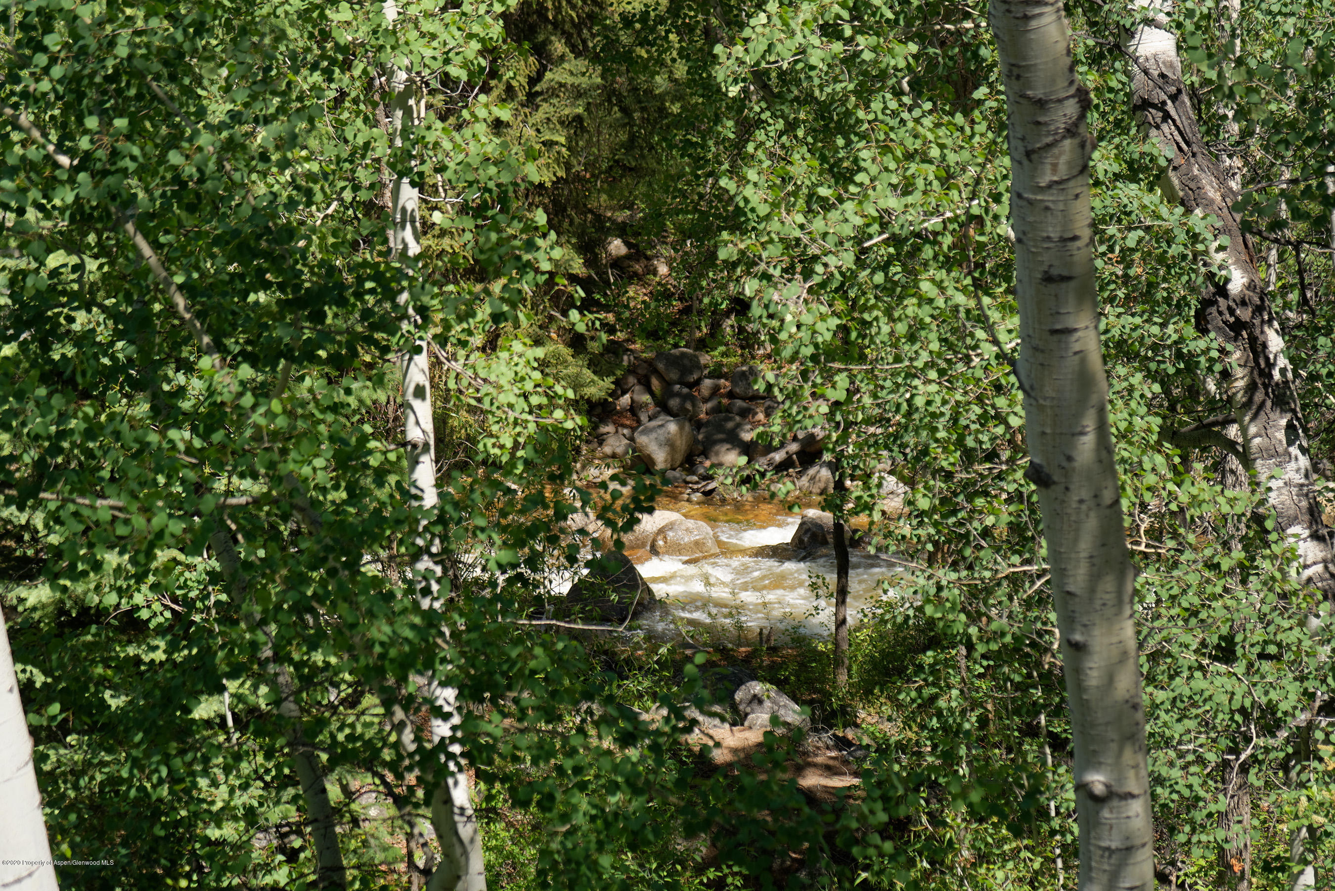 100 Spruce Court Aspen CO 81611