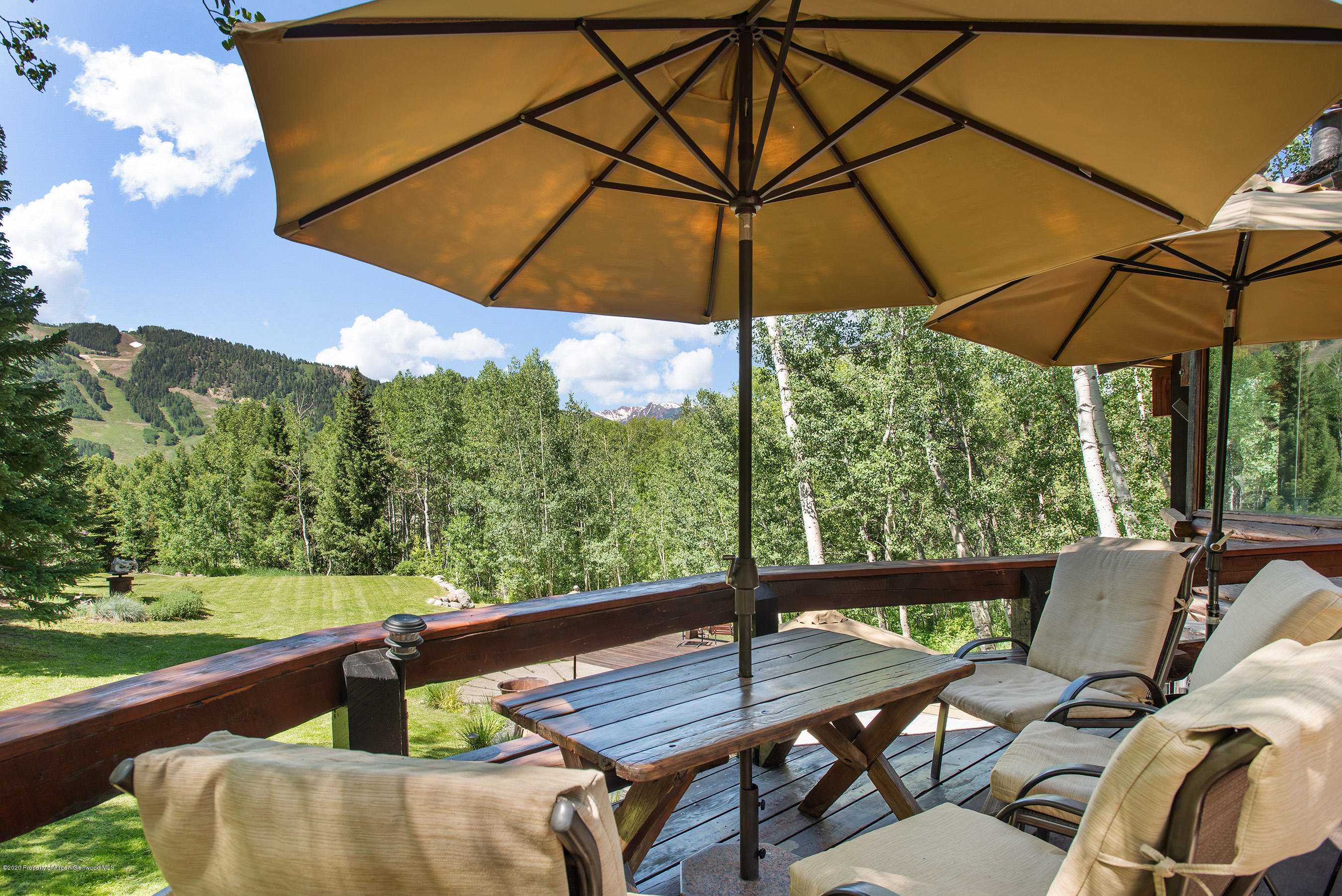 100 Spruce Court Aspen CO 81611