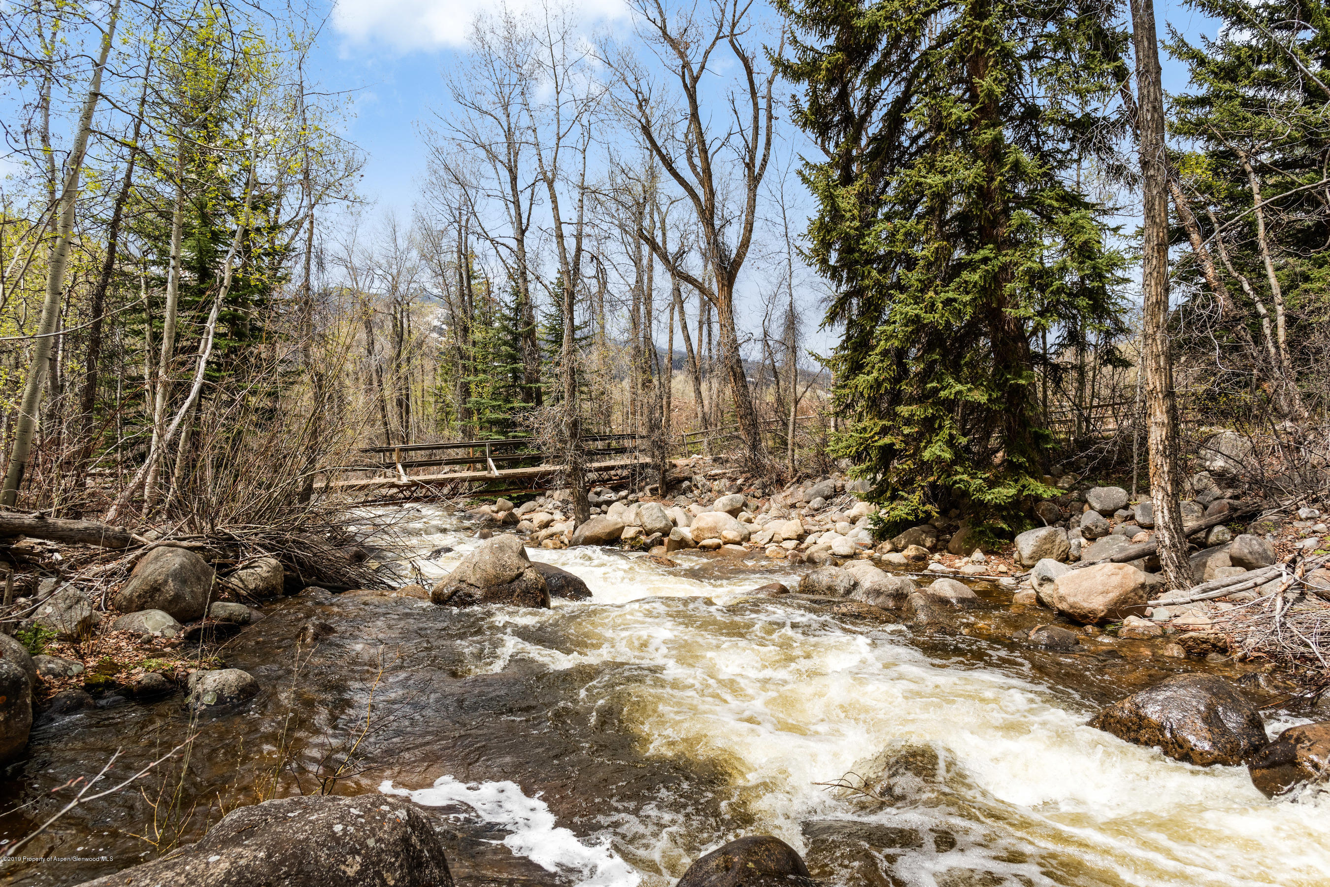 100 Spruce Court Aspen CO 81611