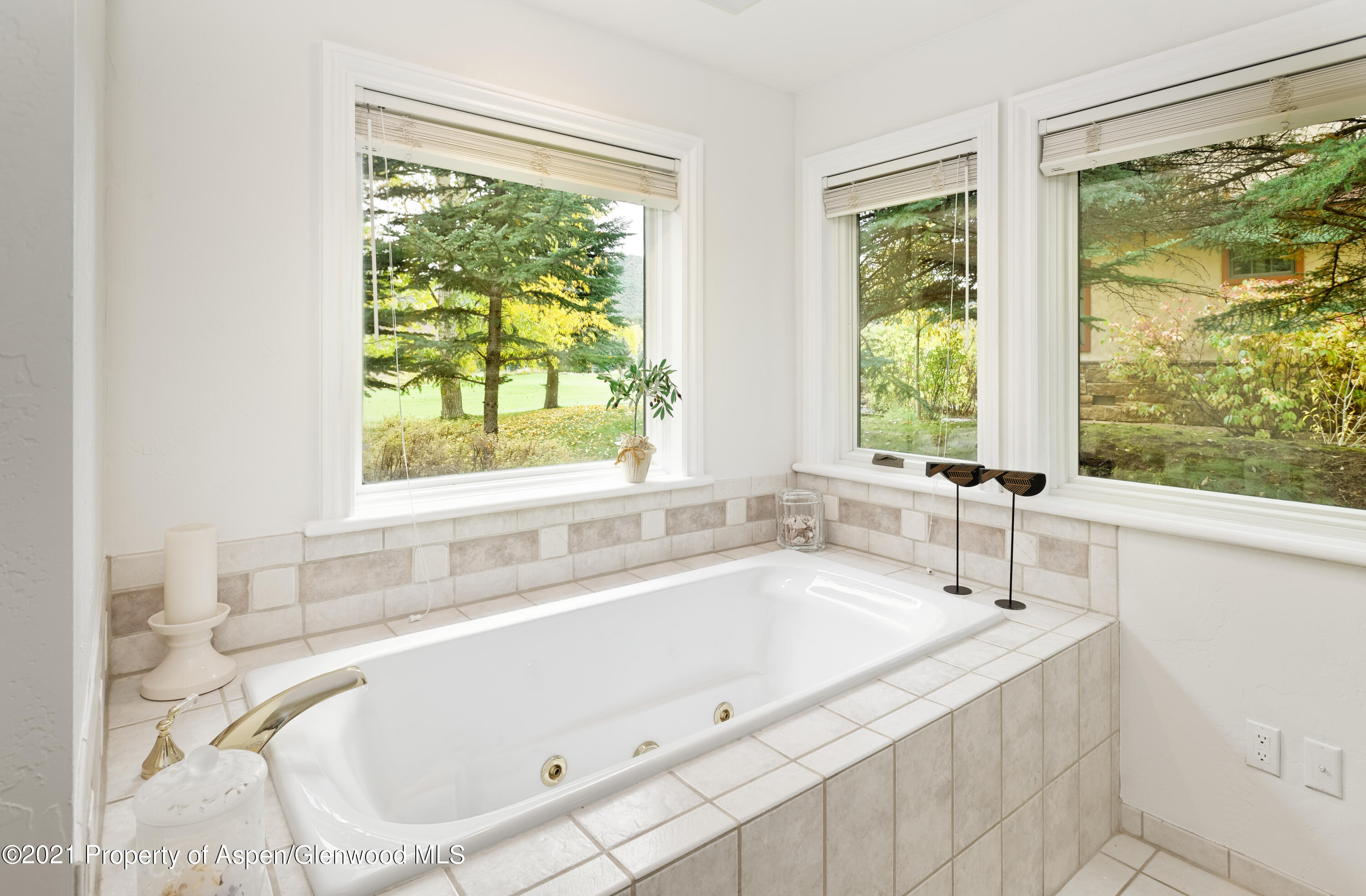 78 Buffalo Lane Carbondale CO 81623