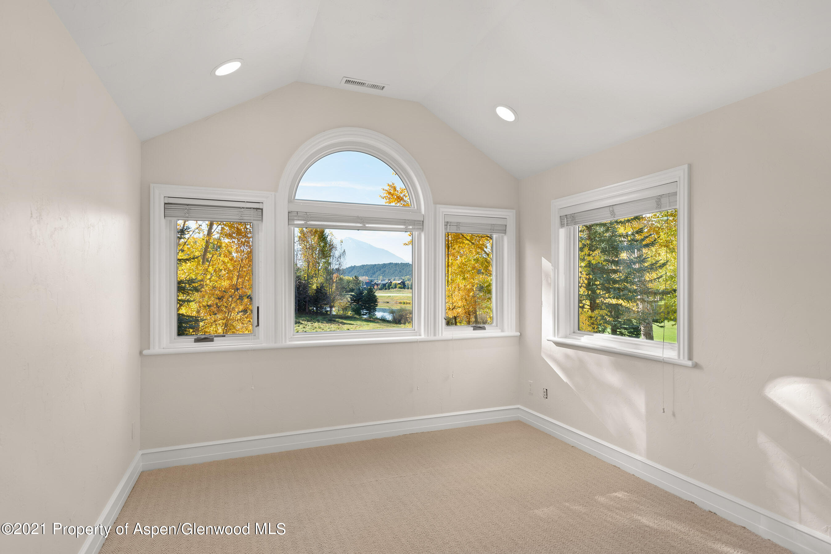 78 Buffalo Lane Carbondale CO 81623