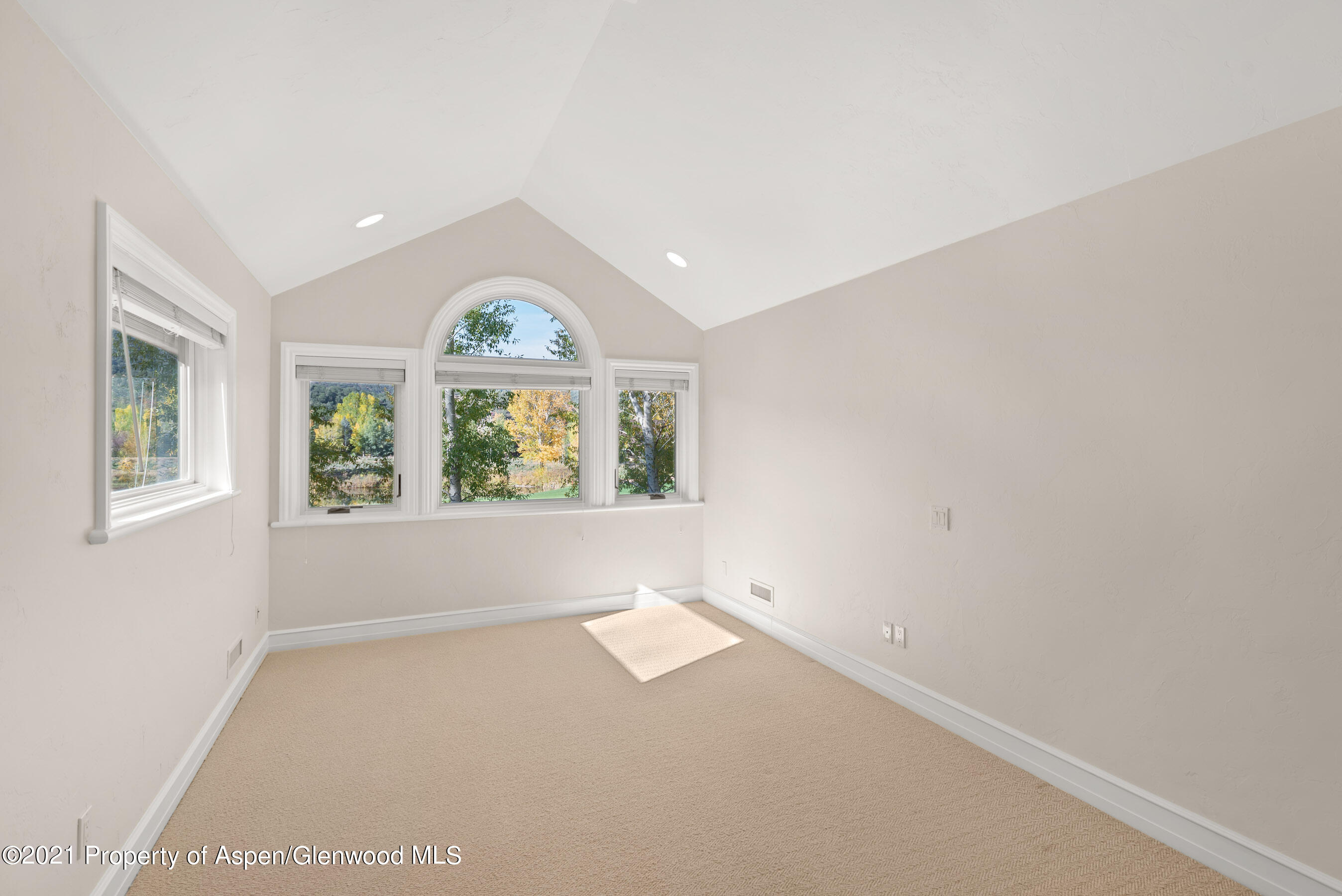 78 Buffalo Lane Carbondale CO 81623