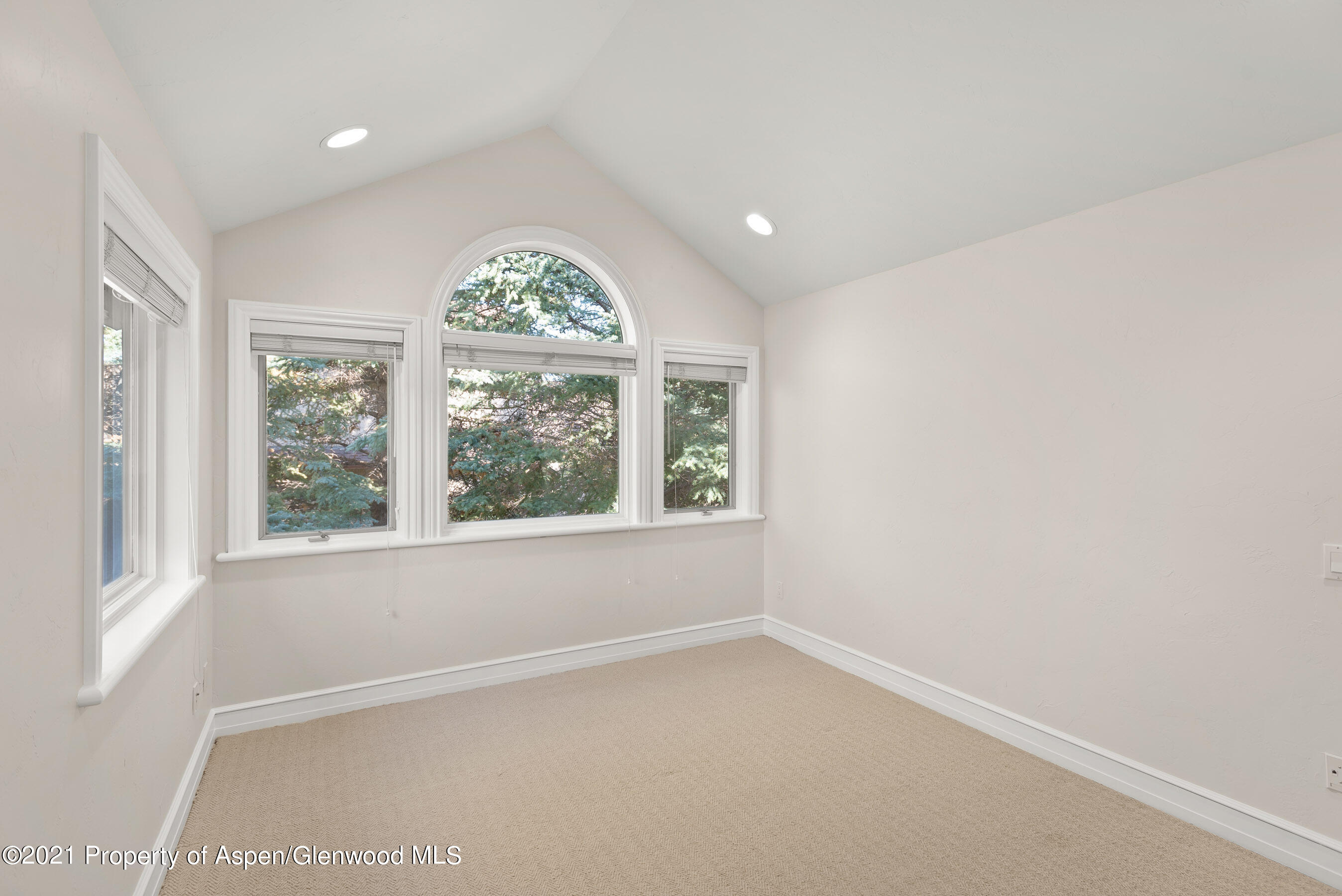 78 Buffalo Lane Carbondale CO 81623