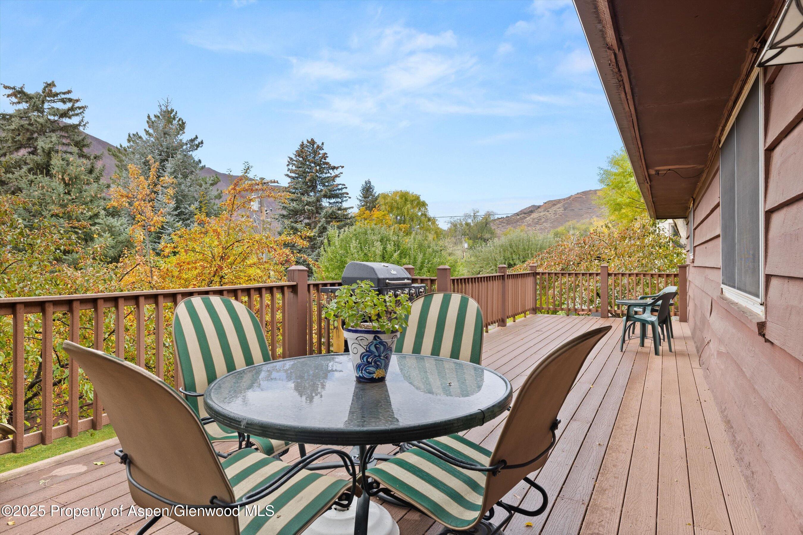 30 Mountain Shadows Drive Glenwood Springs CO 81601