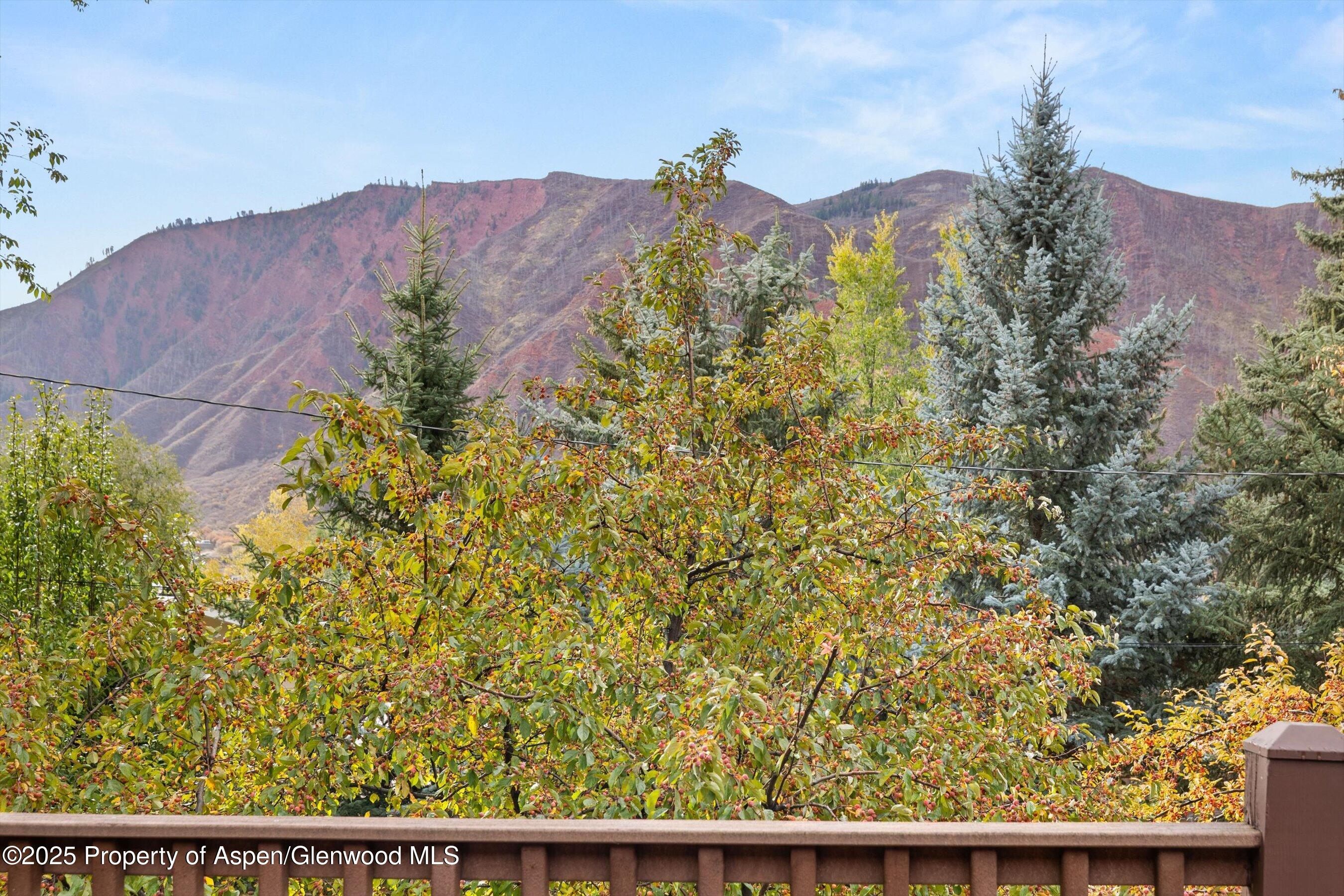 30 Mountain Shadows Drive Glenwood Springs CO 81601