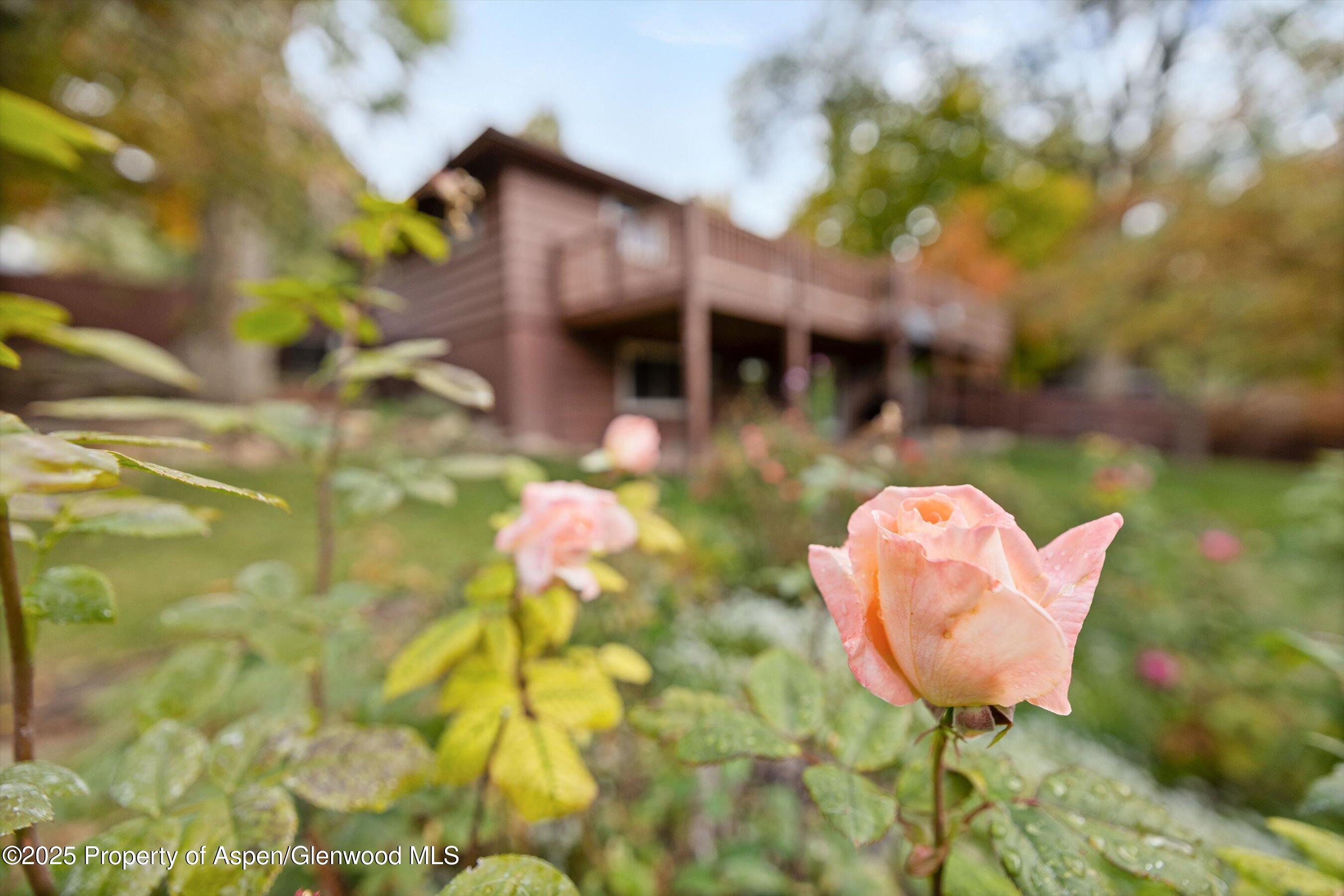 30 Mountain Shadows Drive Glenwood Springs CO 81601