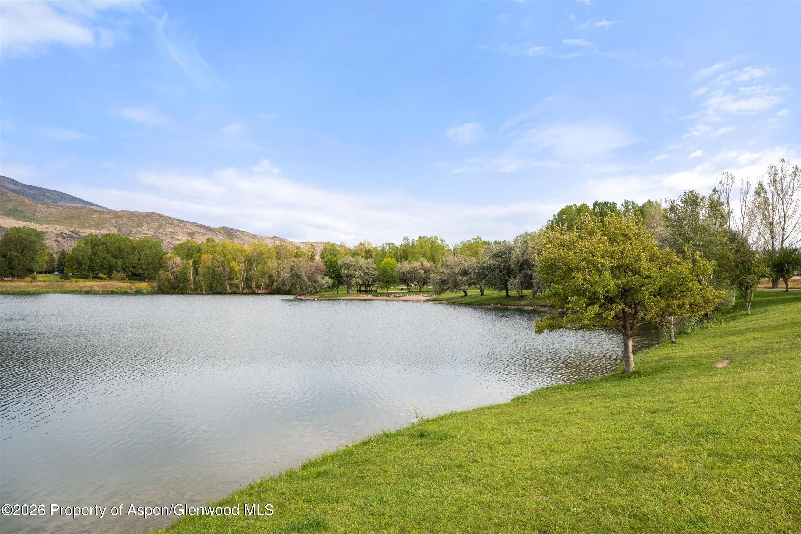 353 Goose Lane Carbondale CO 81623