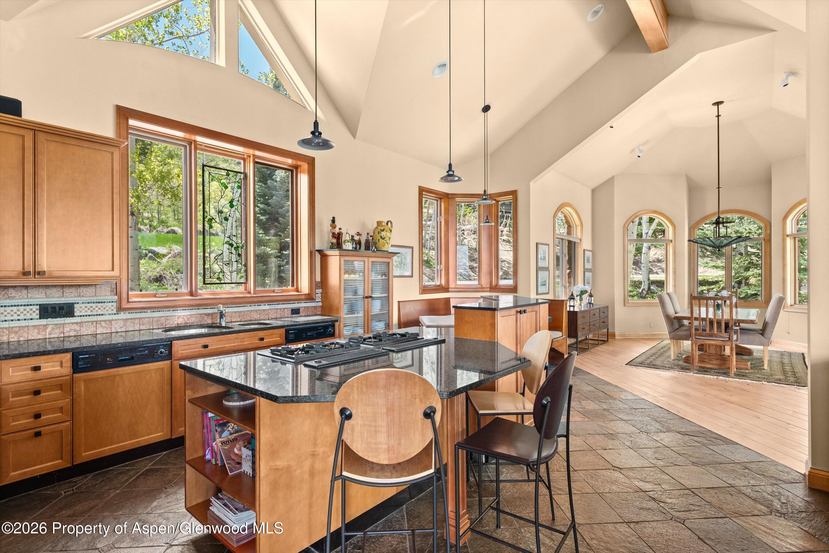 221 Stellar Lane Snowmass Village CO 81615