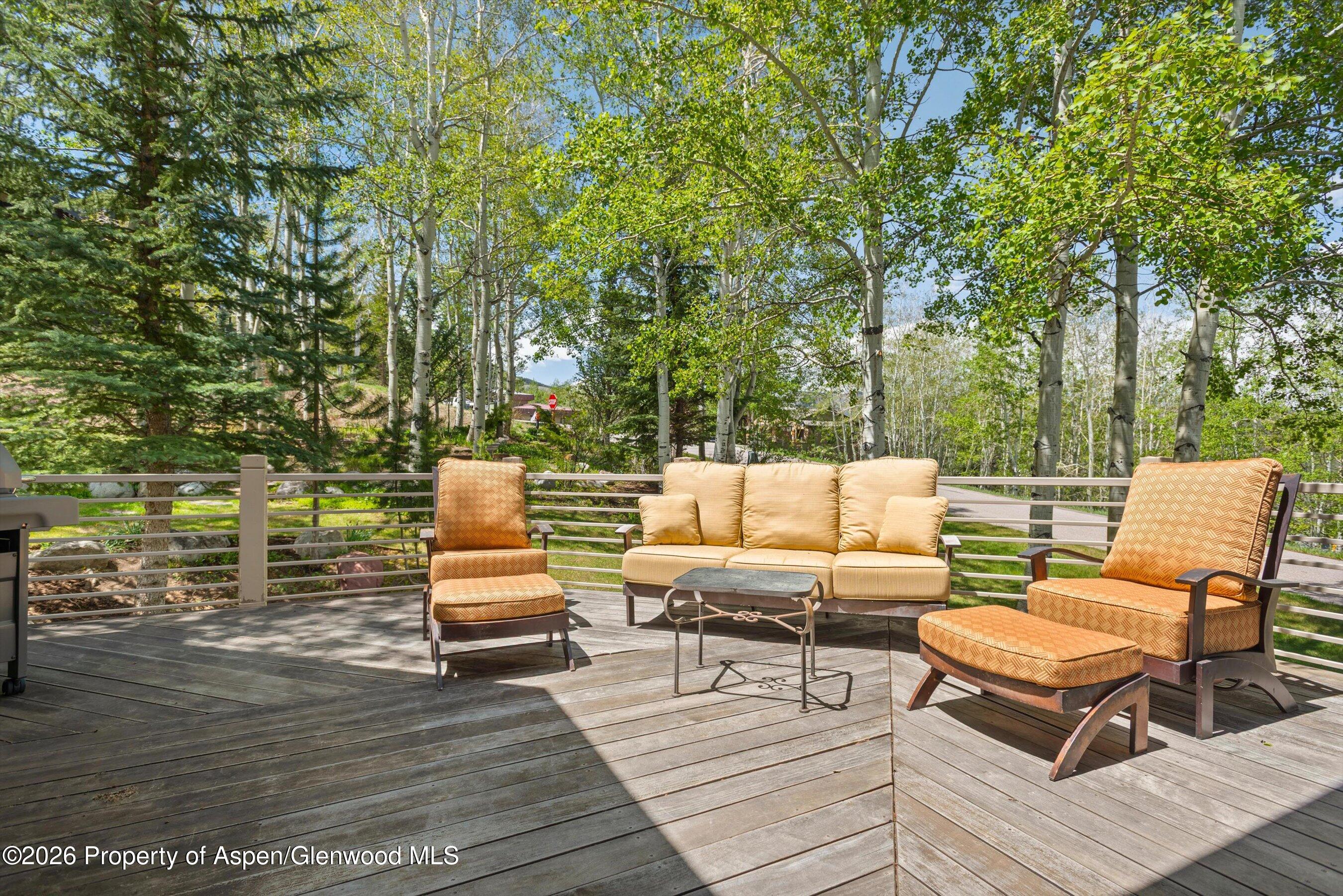 221 Stellar Lane Snowmass Village CO 81615