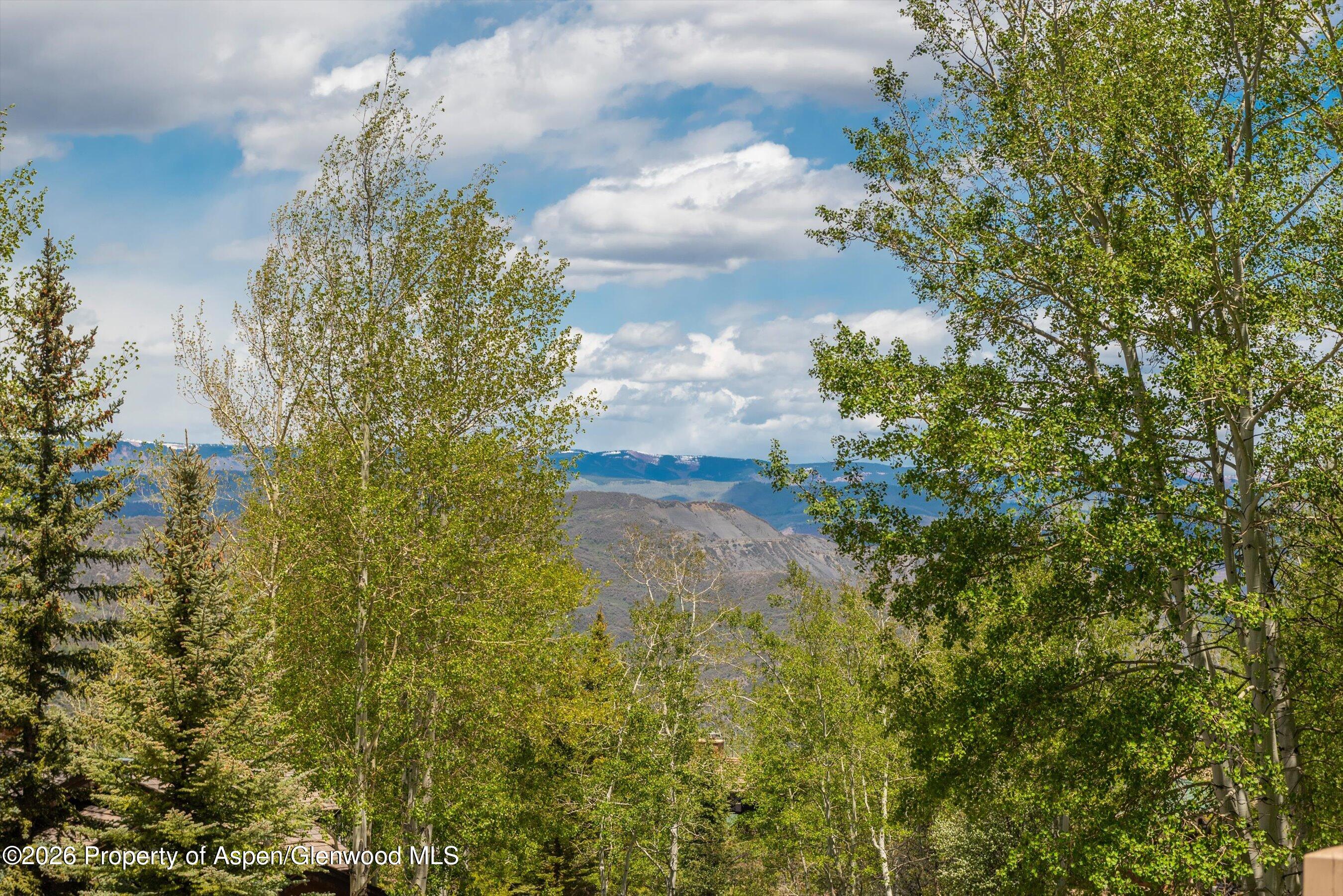 221 Stellar Lane Snowmass Village CO 81615