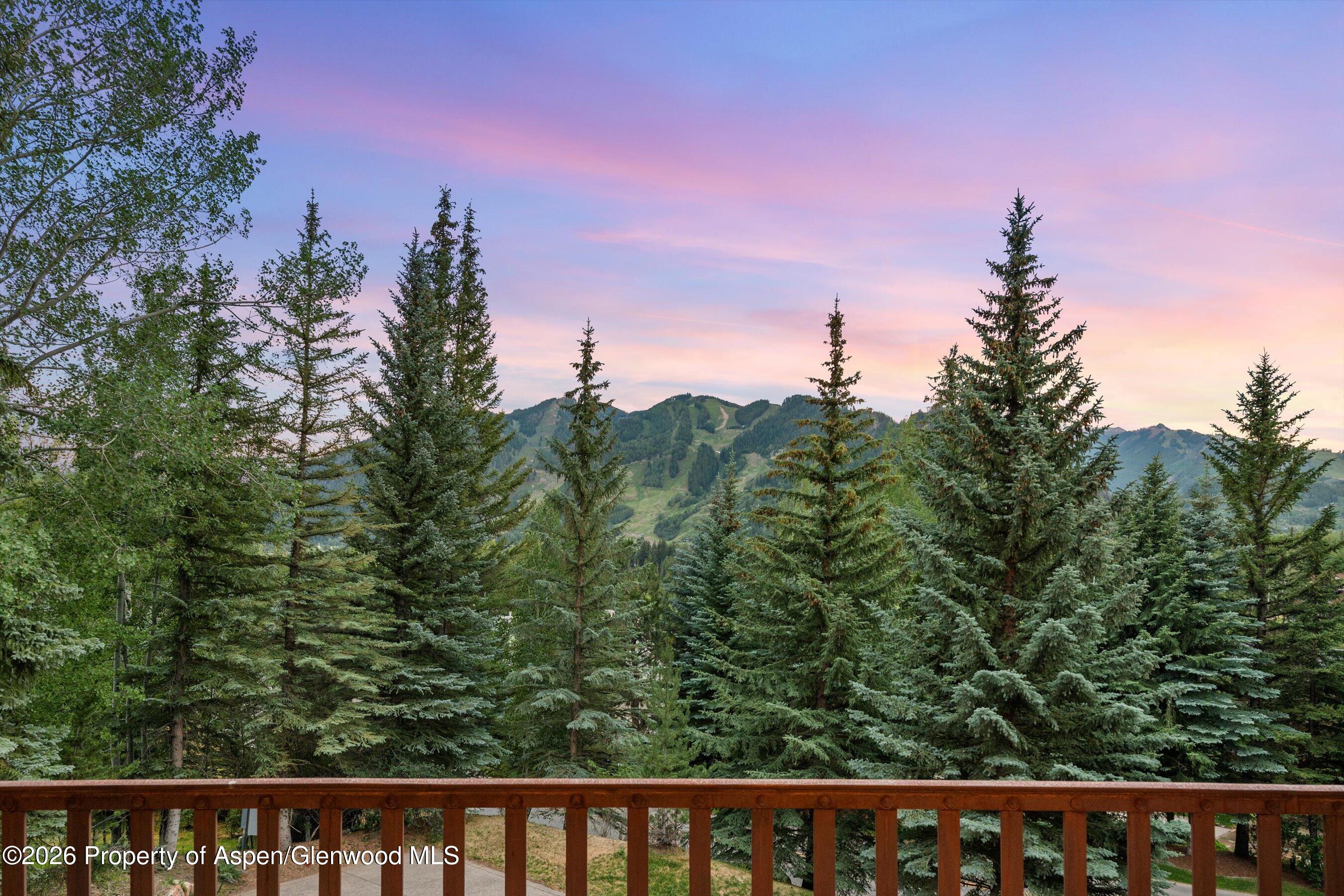 247 Willoughby Way Aspen CO 81611