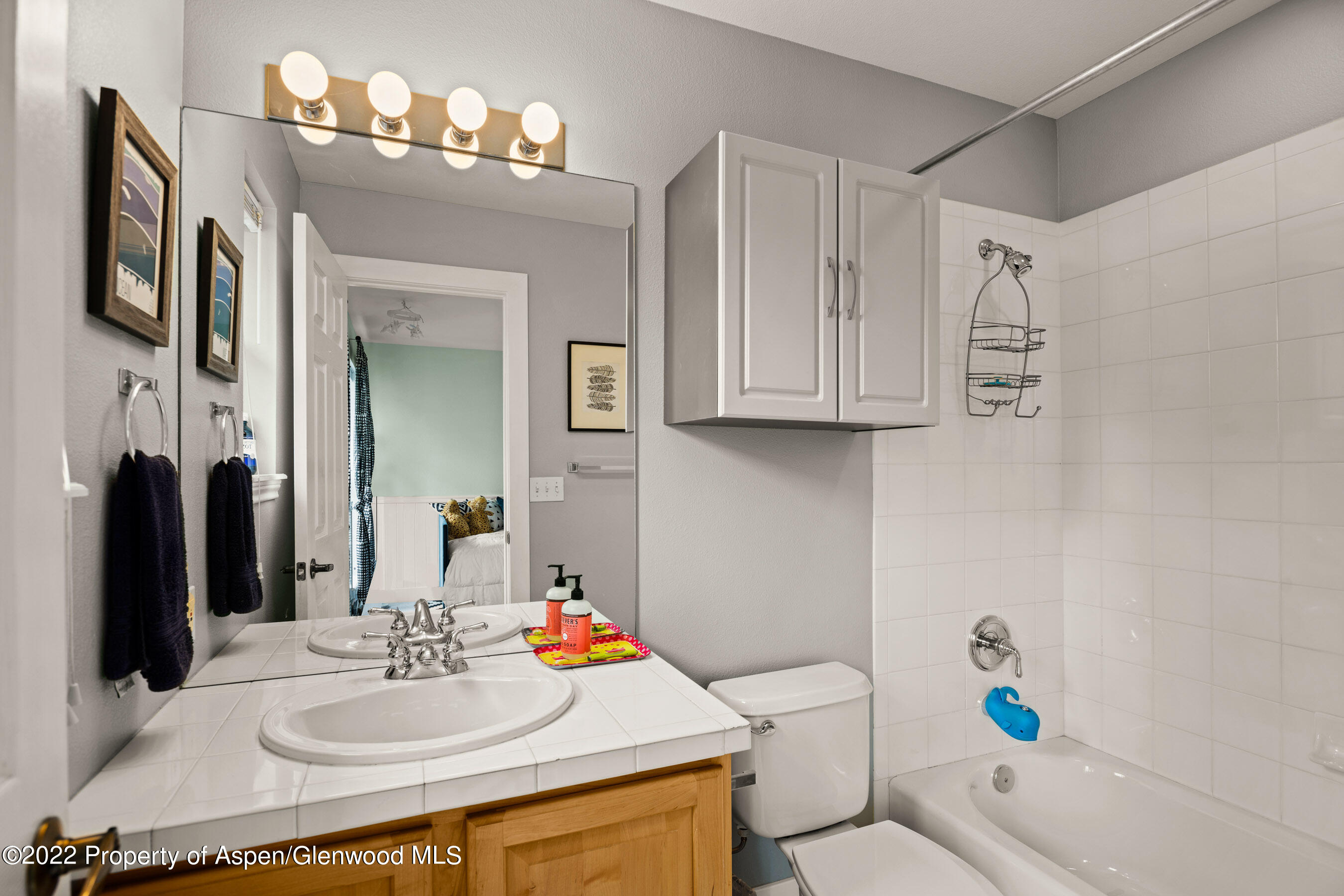 435 Boyd Drive Carbondale CO 81623