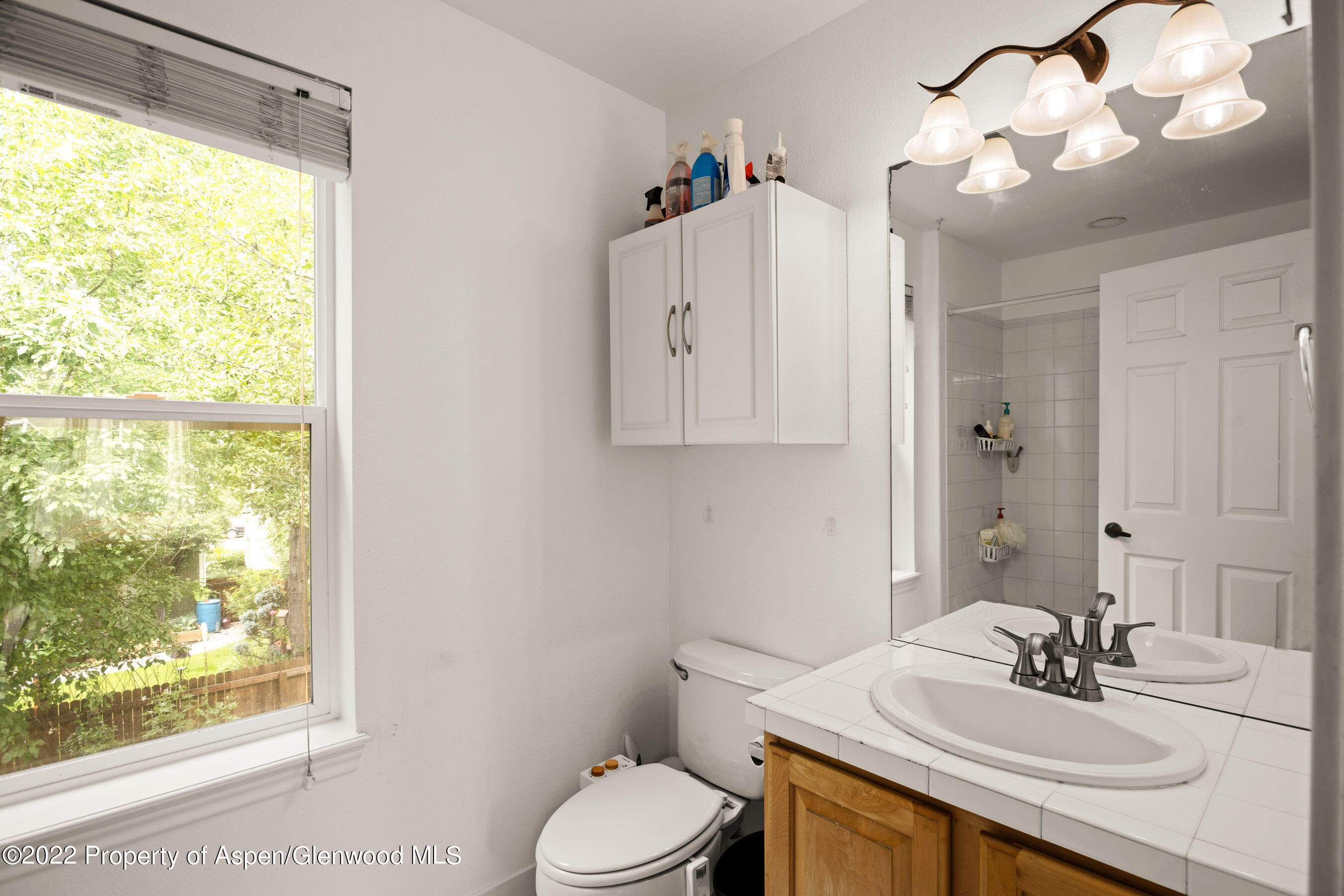 435 Boyd Drive Carbondale CO 81623