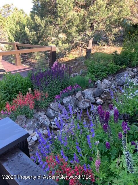 258 Monarch Road Glenwood Springs CO 81601