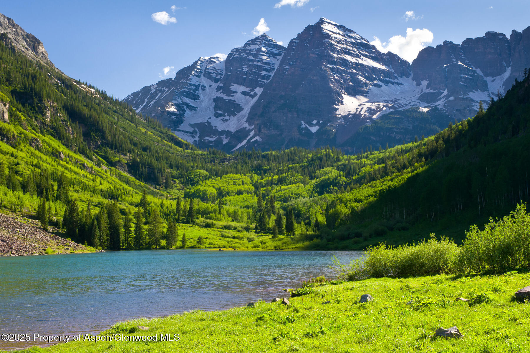 433 Gillespie Street Aspen CO 81611