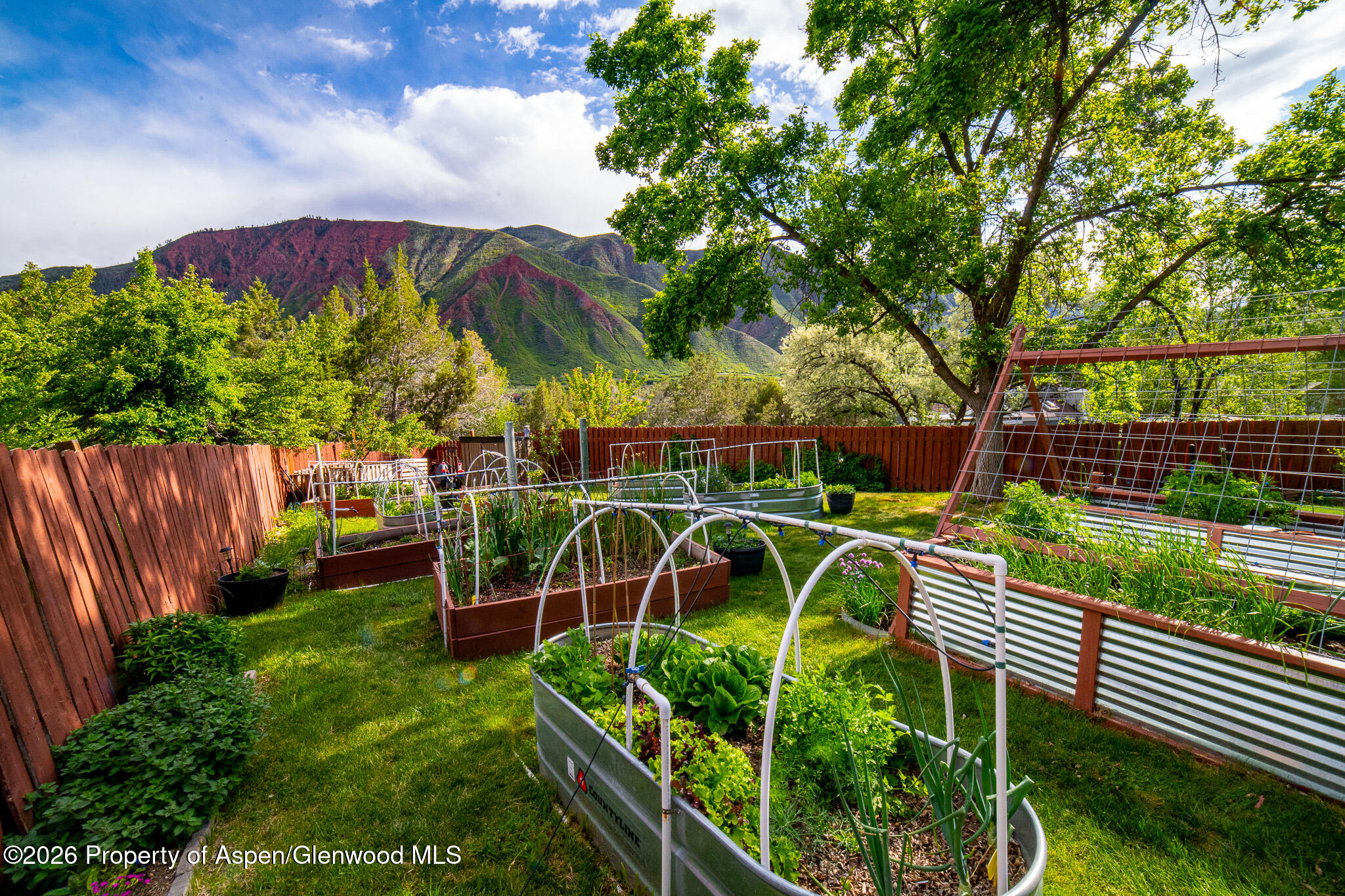 111 Cardinal Lane Glenwood Springs CO 81601