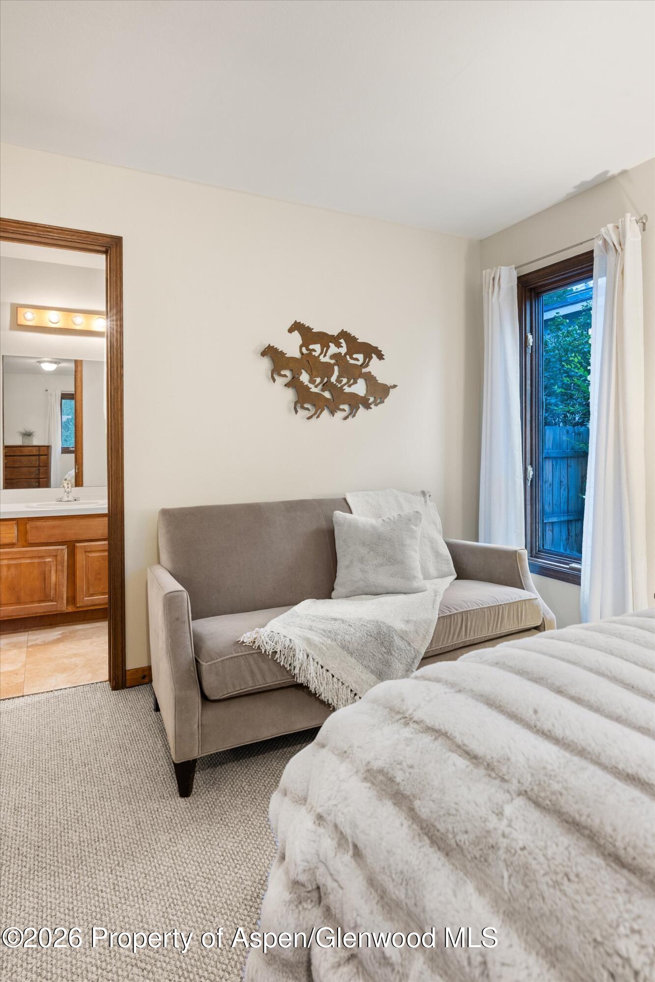 81 Cheyenne Avenue Carbondale CO 81623