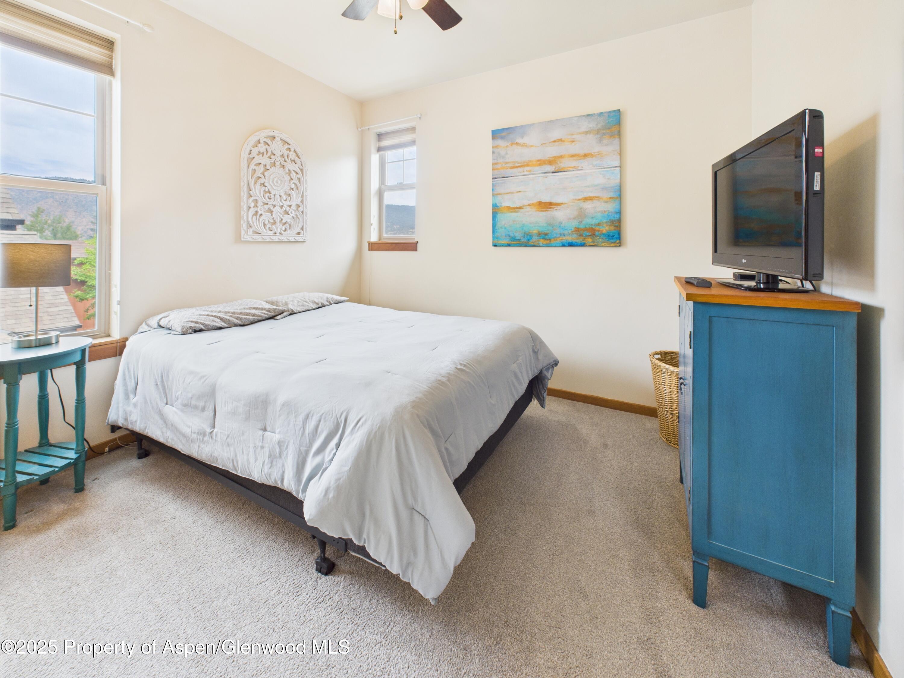 484 Red Bluff Vista Glenwood Springs CO 81601