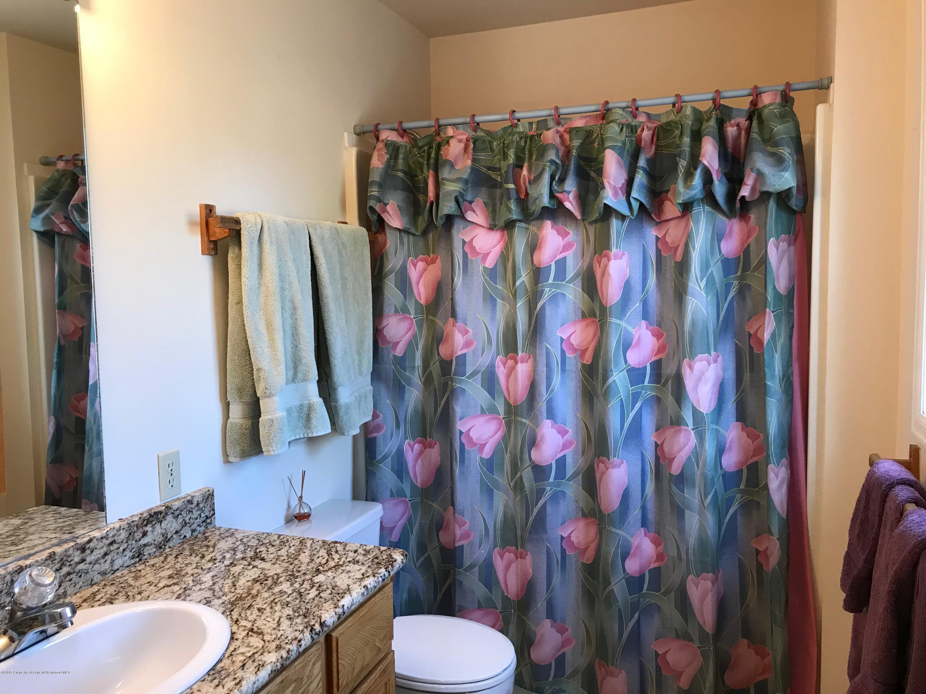 1386 Rock Court Carbondale CO 81623