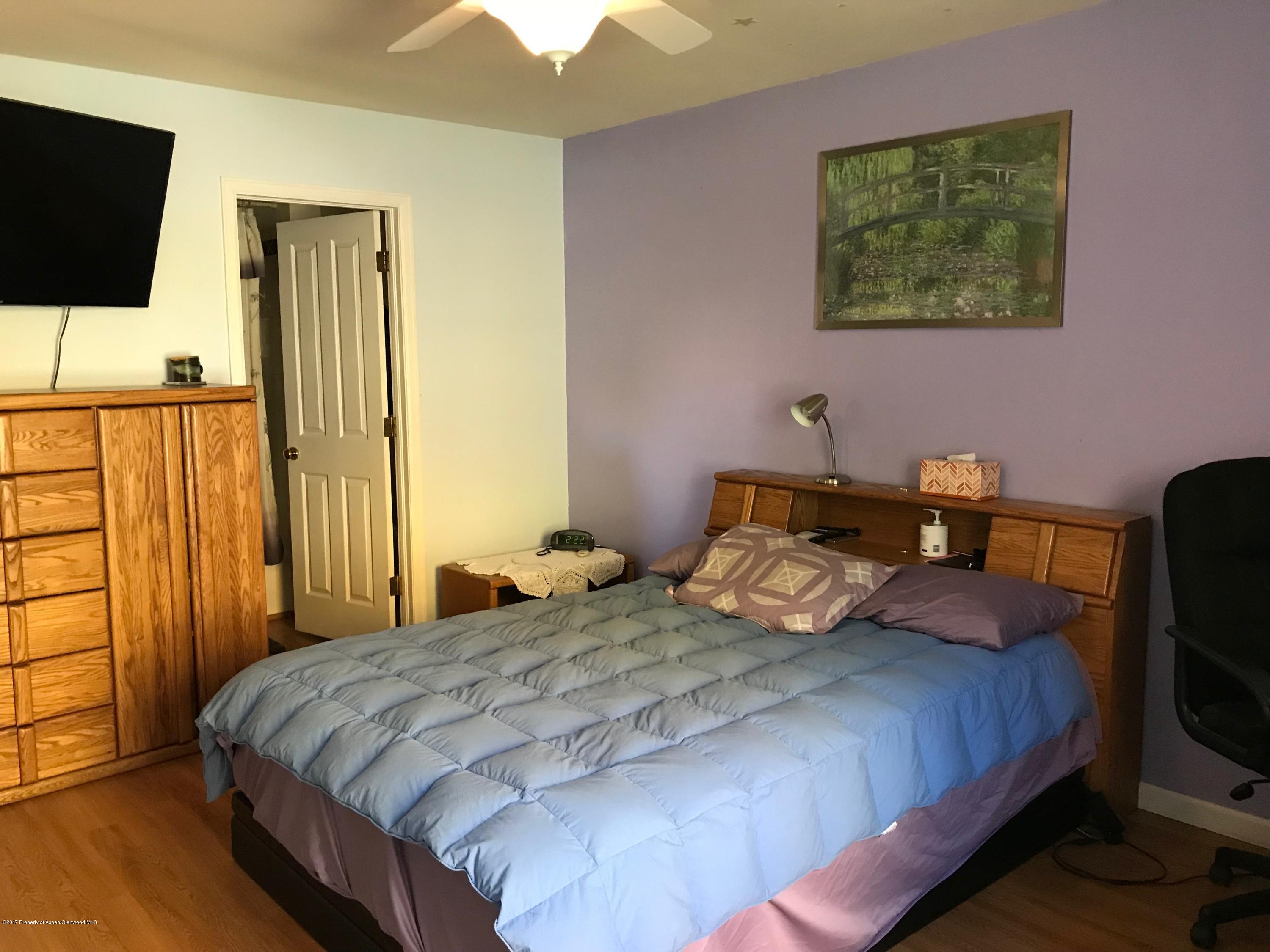 1386 Rock Court Carbondale CO 81623
