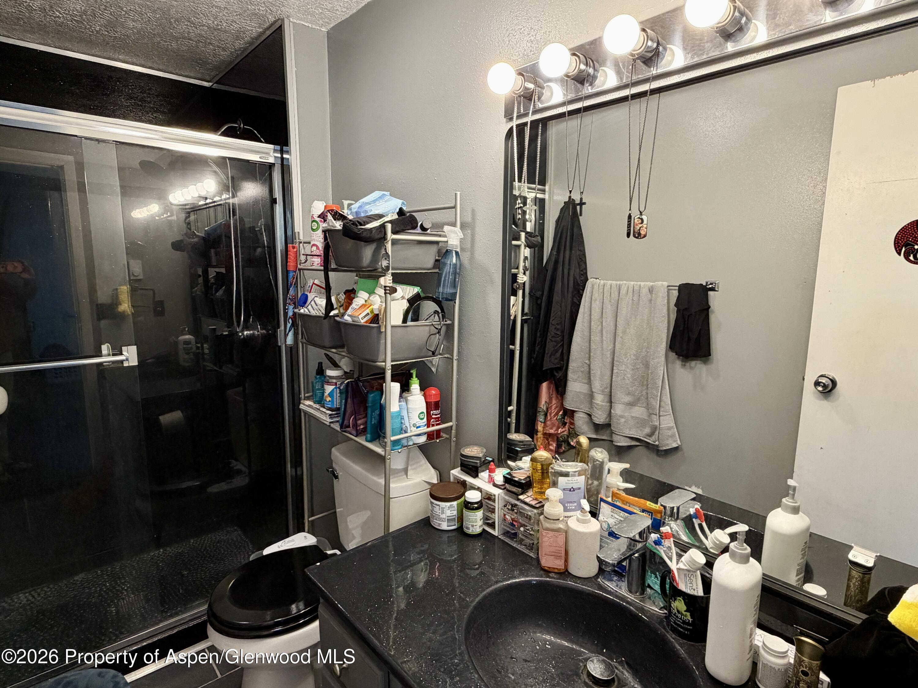 1409 Silver Sage Road Meeker CO 81641