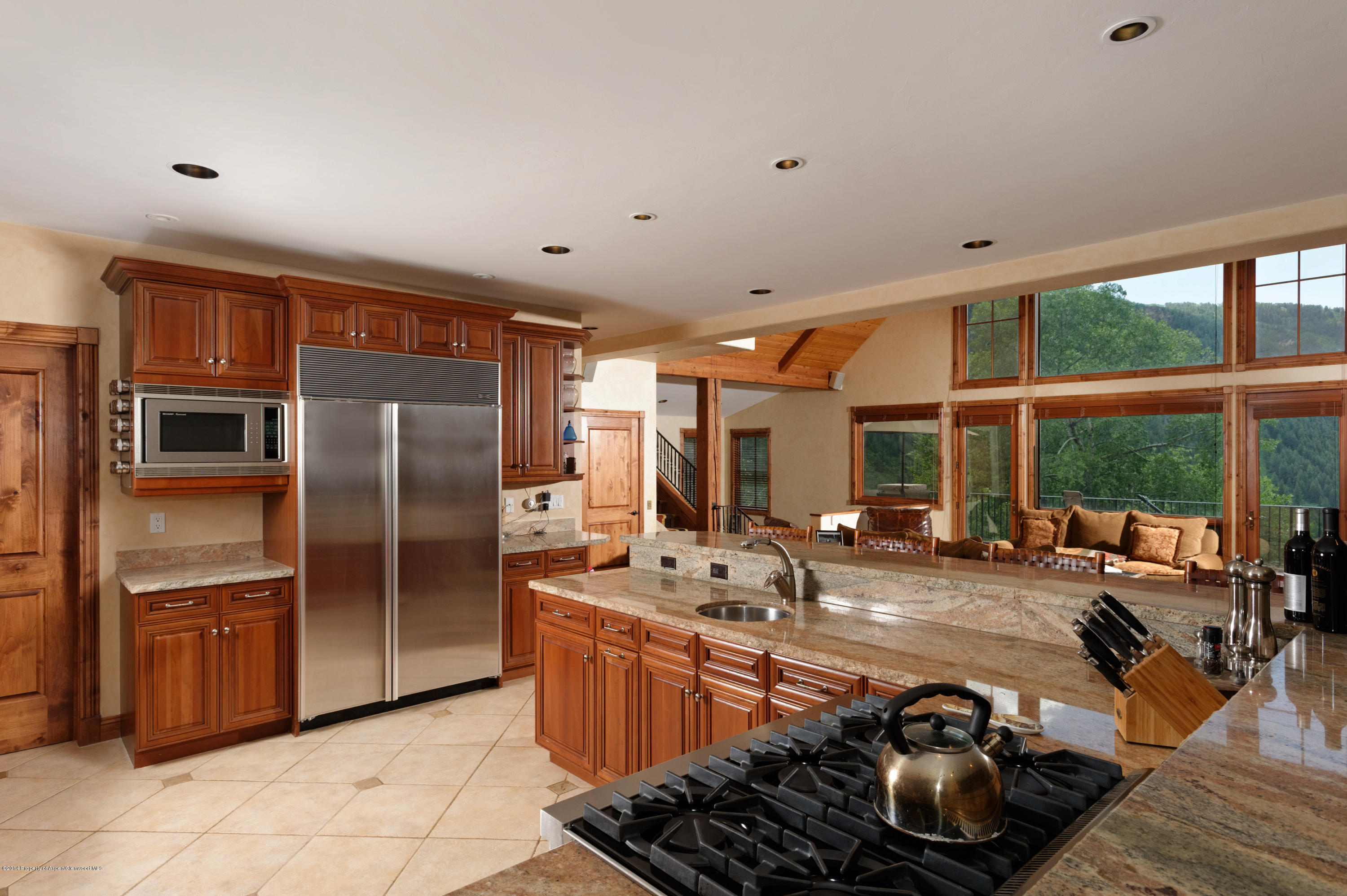 749 Mountain Laurel Drive Aspen CO 81611