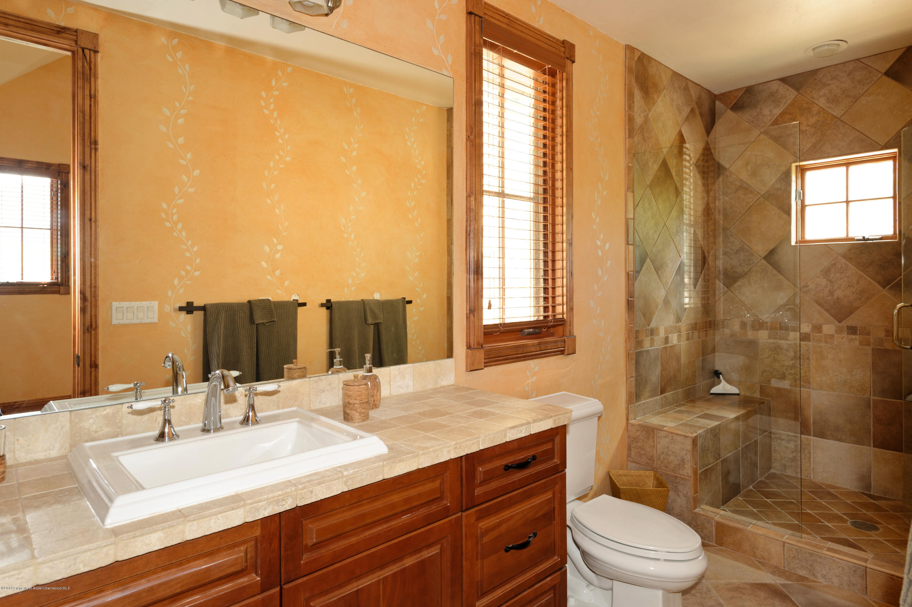 749 Mountain Laurel Drive Aspen CO 81611