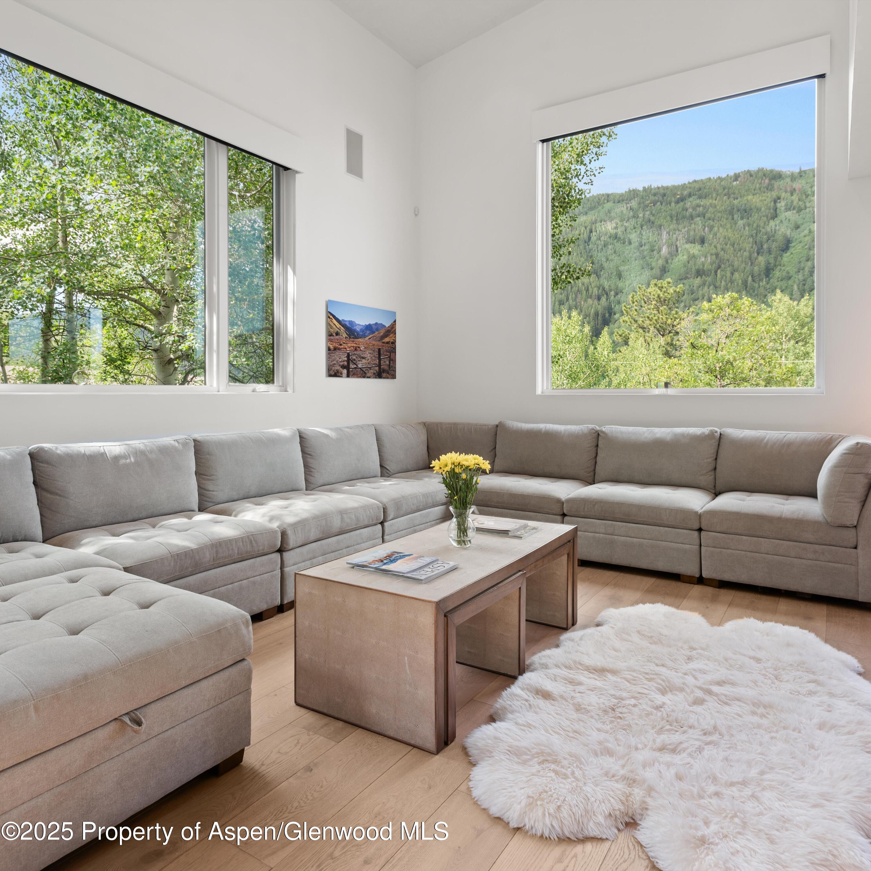 257 Mountain Laurel Drive Aspen CO 81611