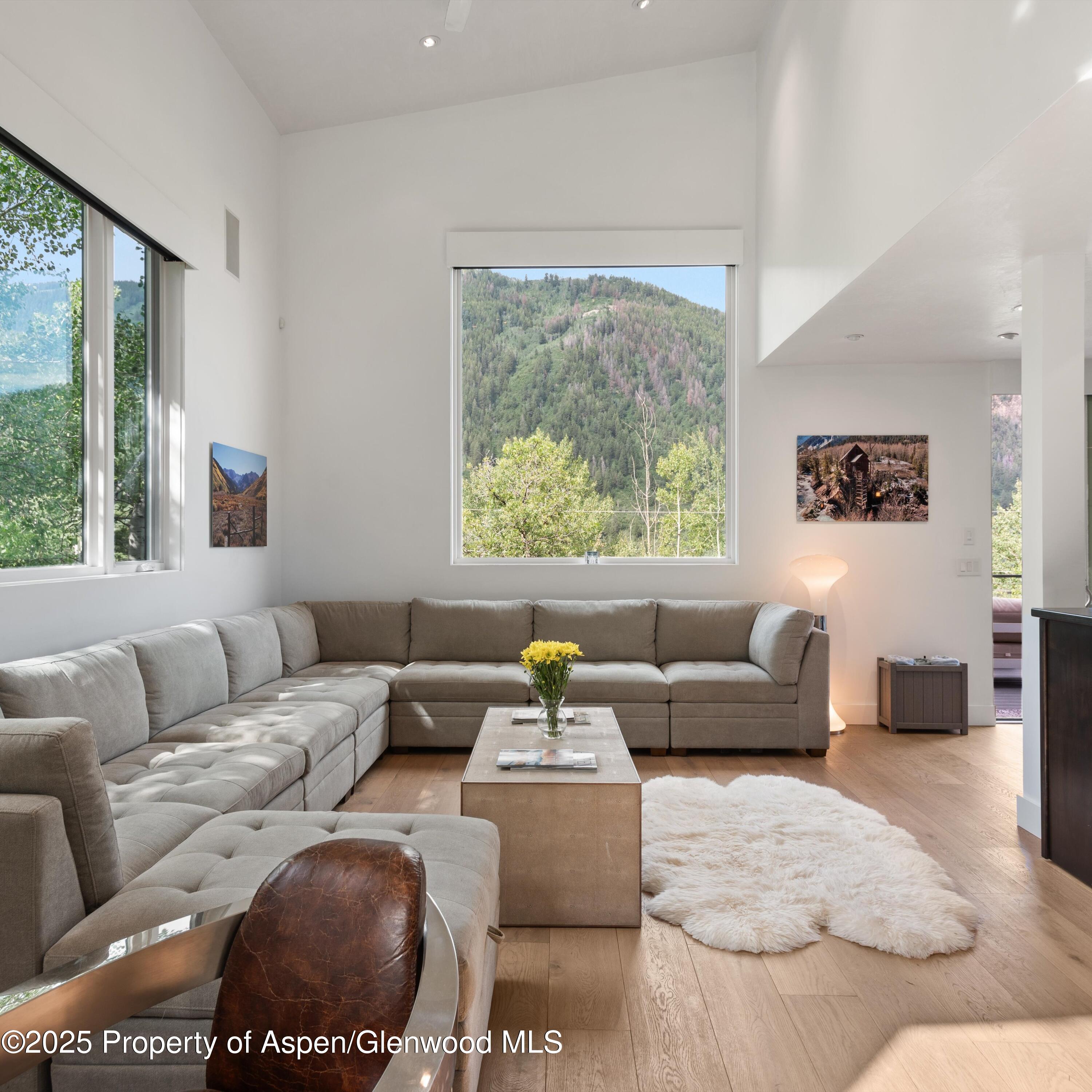 257 Mountain Laurel Drive Aspen CO 81611